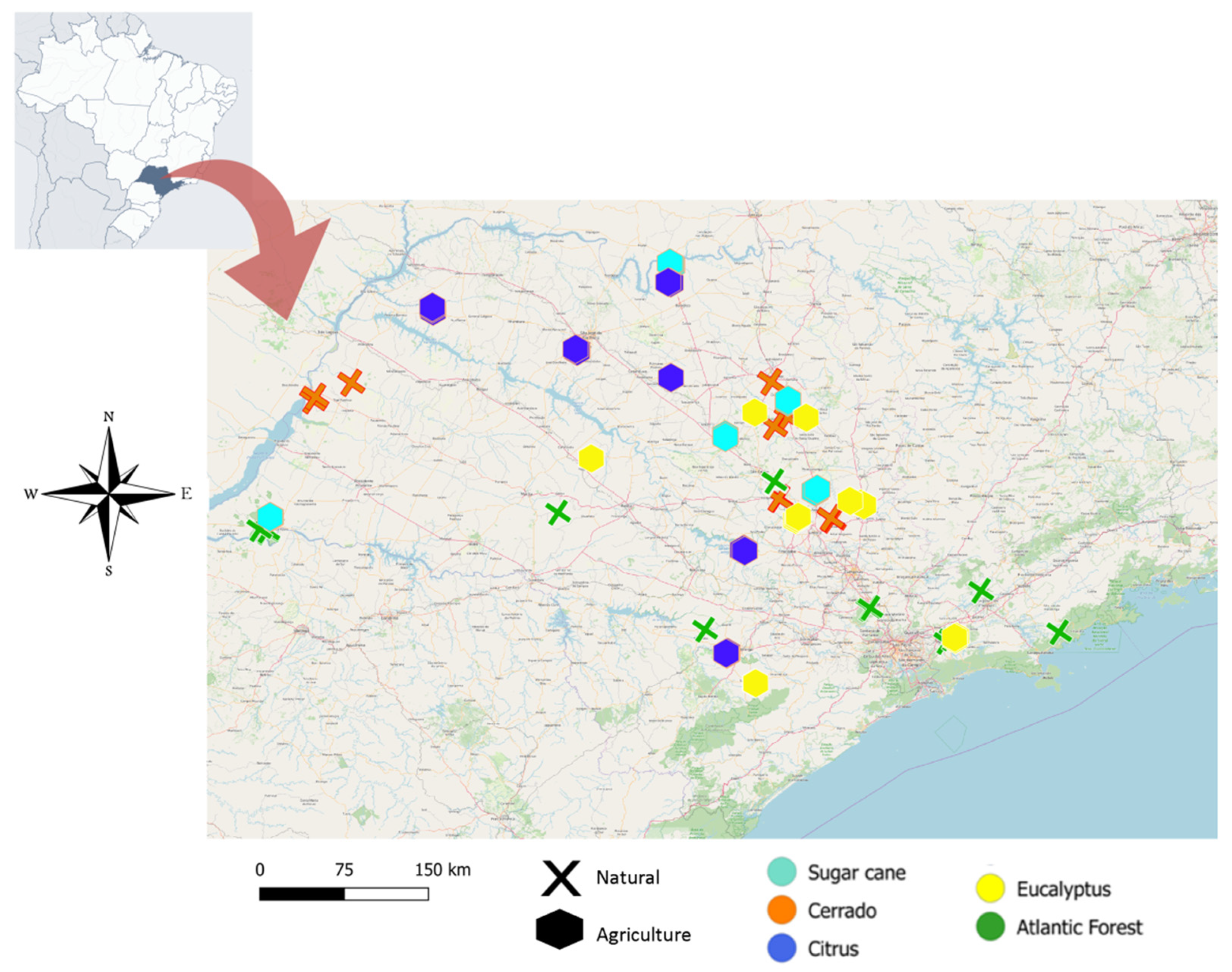 Insects 11 00332 g001