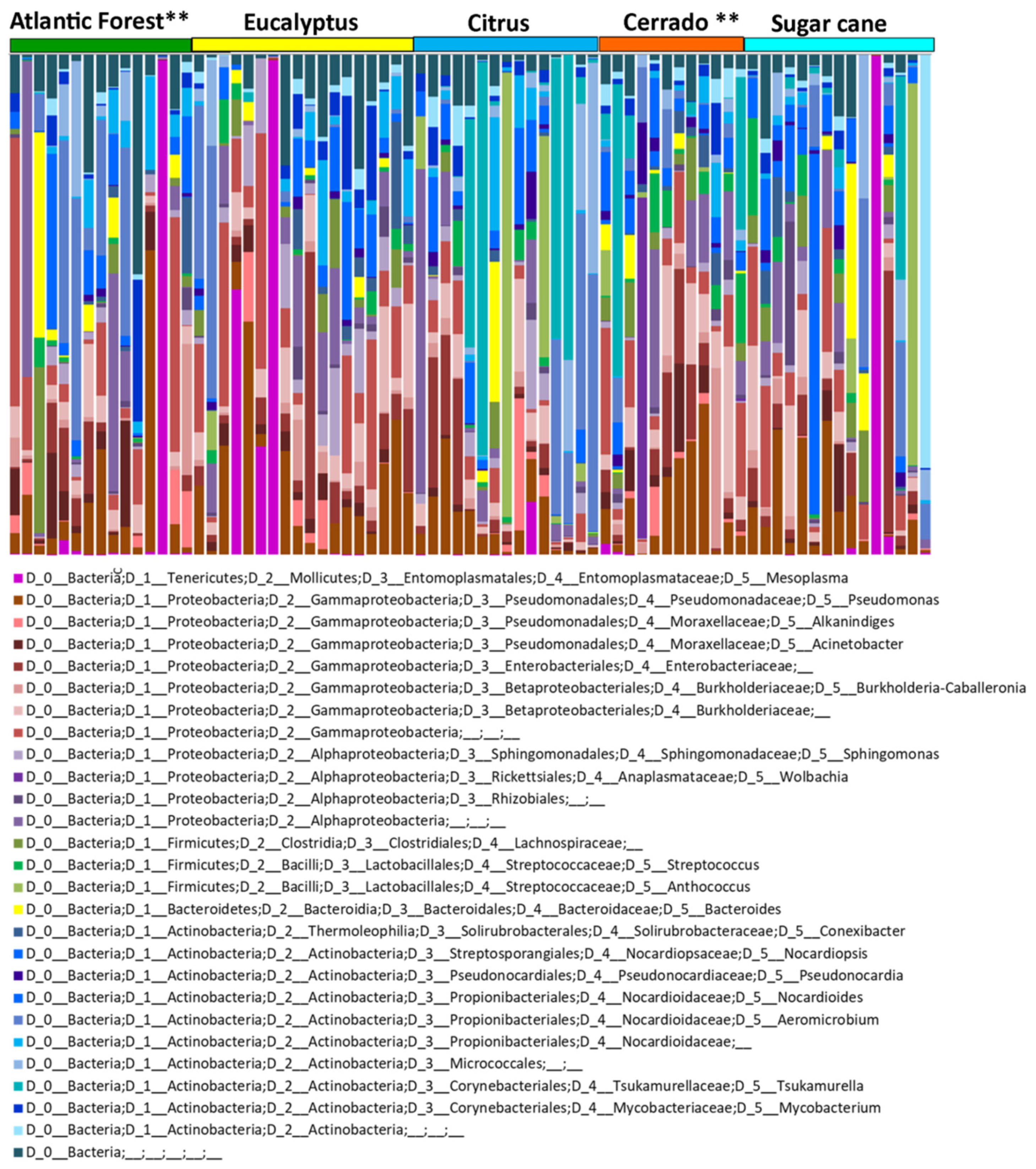 Insects 11 00332 g002