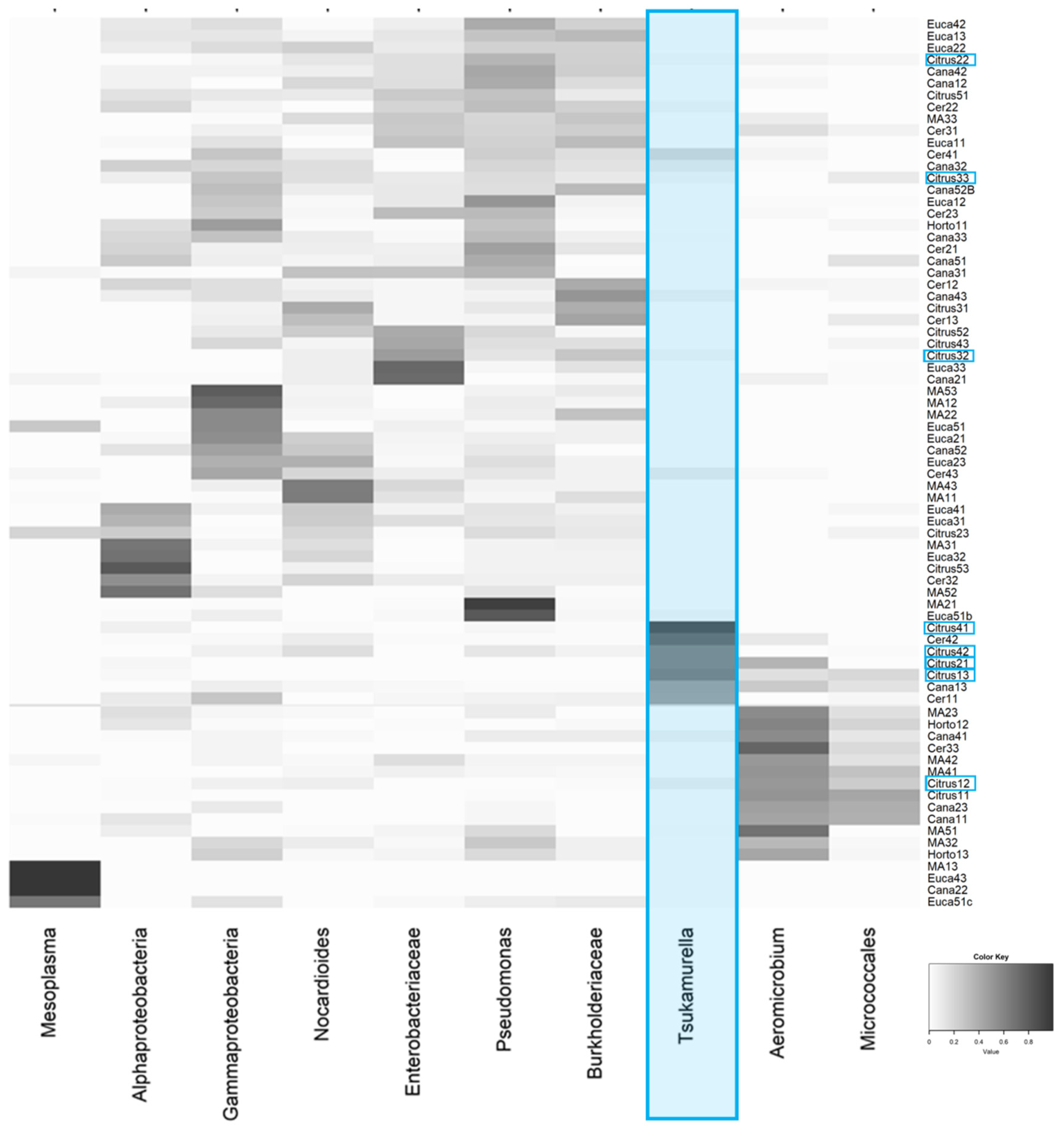 Insects 11 00332 g005