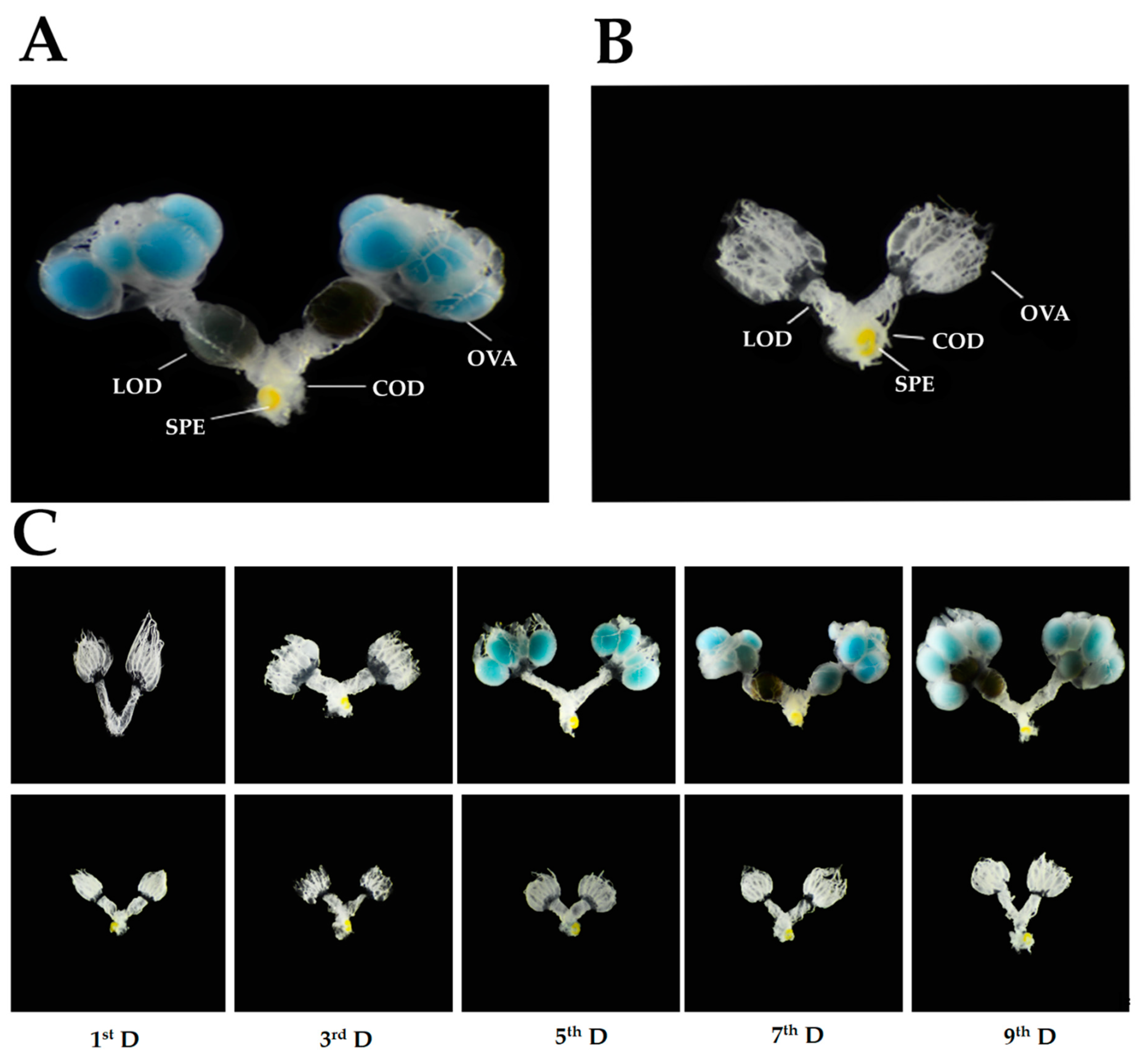 Insects 11 00347 g001 Insects 11 00347 g001