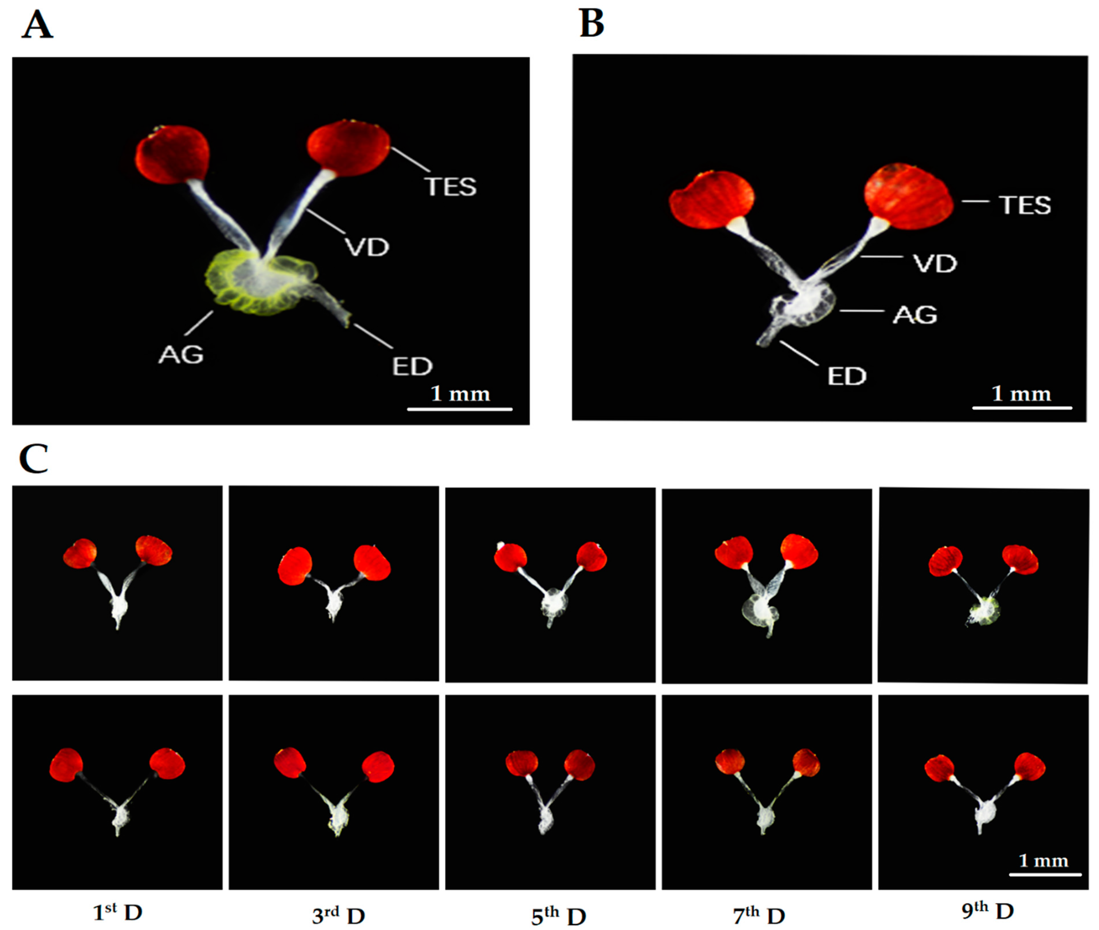 Insects 11 00347 g003 Insects 11 00347 g003