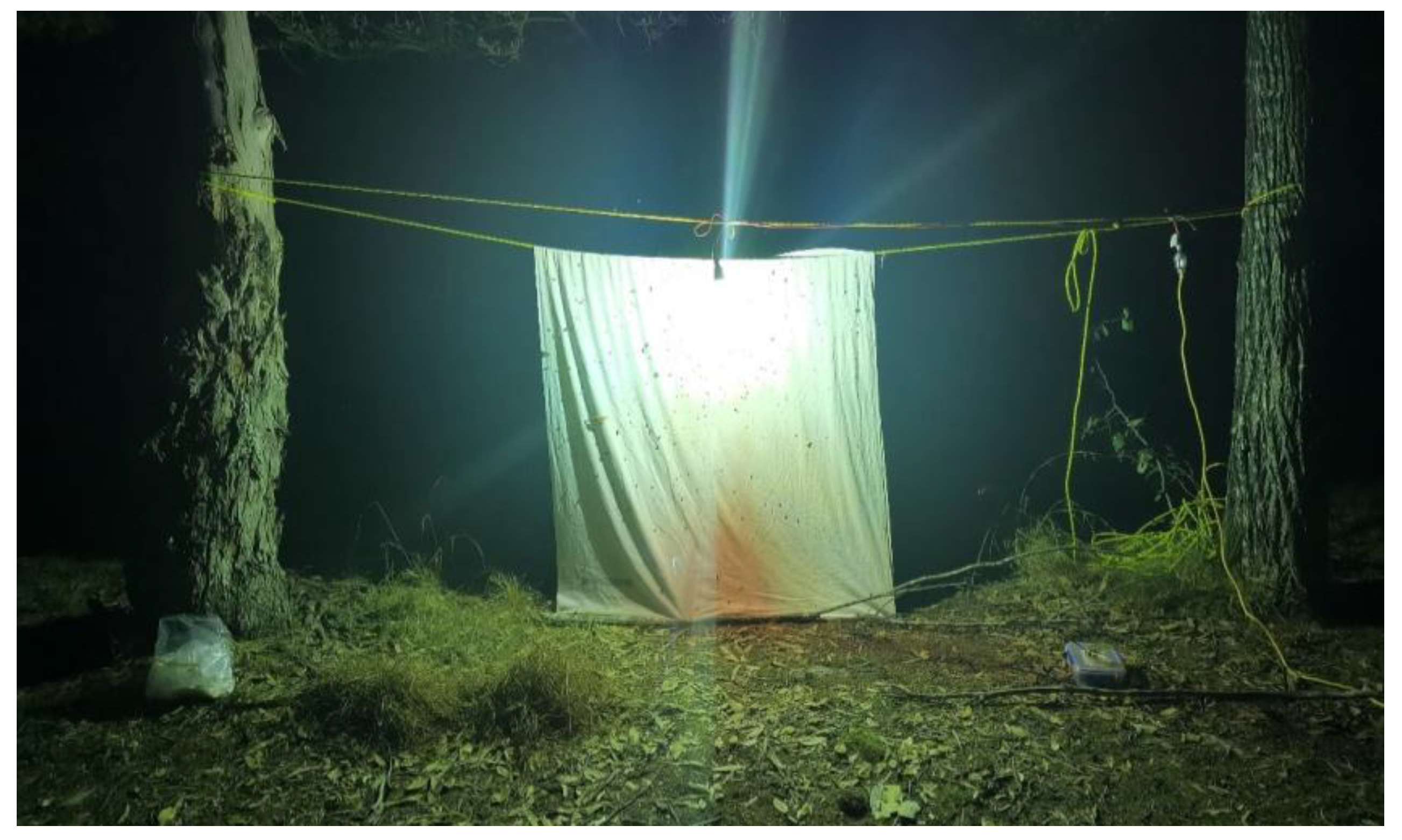 Insects 11 00354 g001 Insects 11 00354 g001