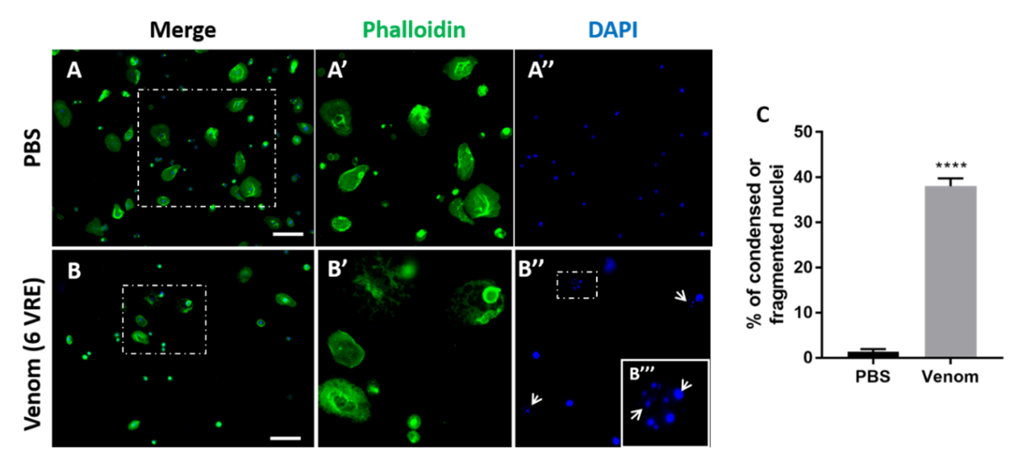 Insects 11 00363 g004 Insects 11 00363 g004