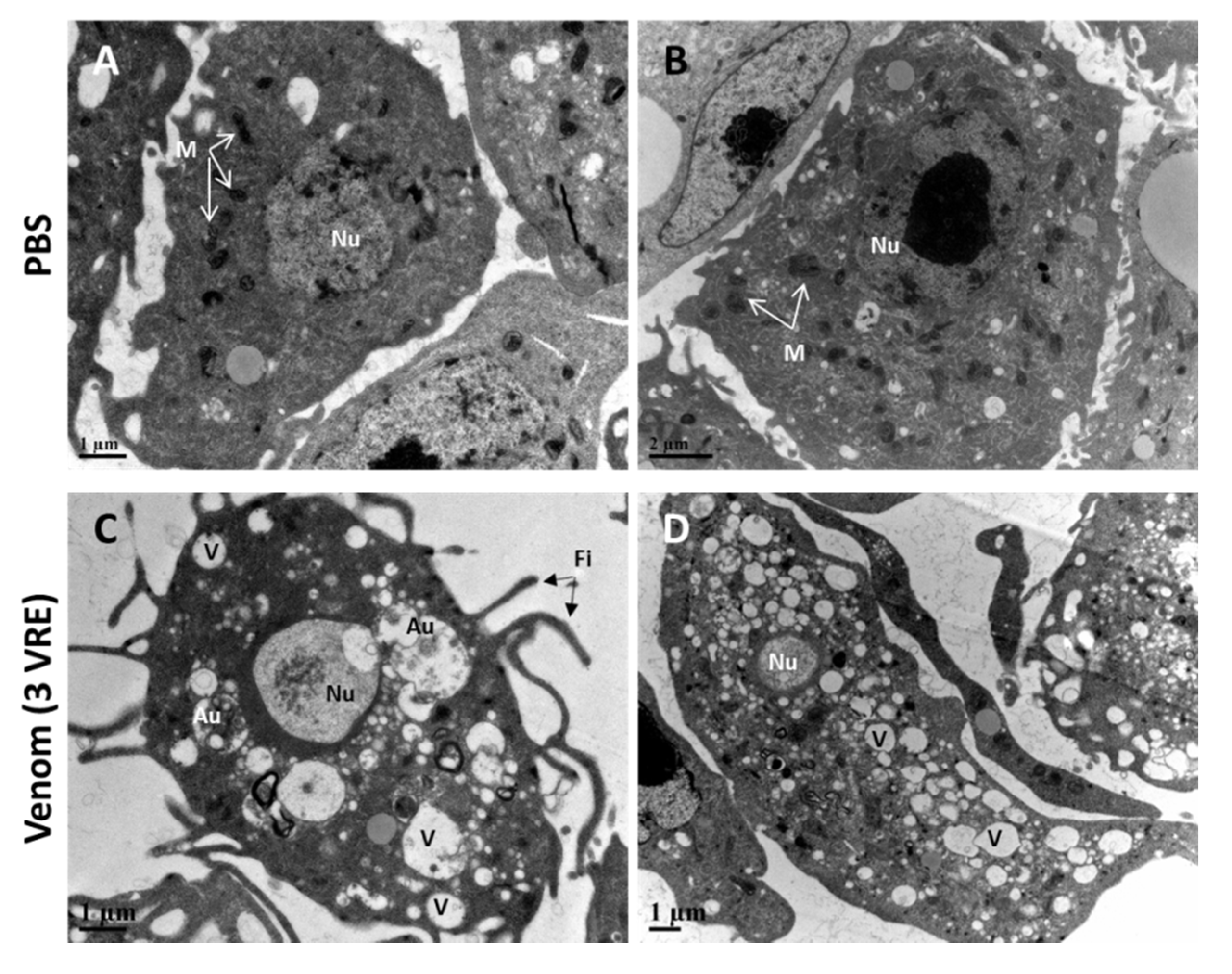 Insects 11 00363 g005 Insects 11 00363 g005