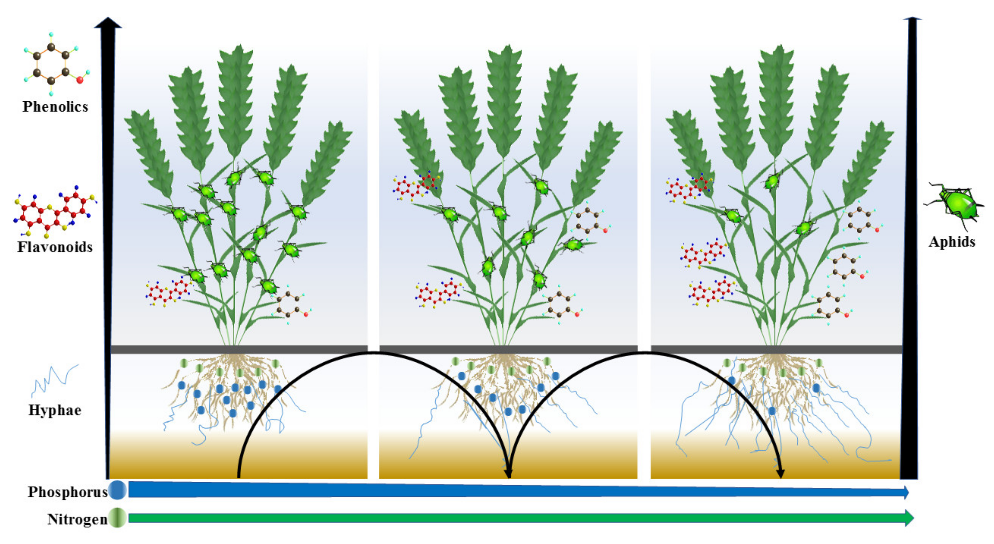 Insects 11 00365 g001 Insects 11 00365 g001