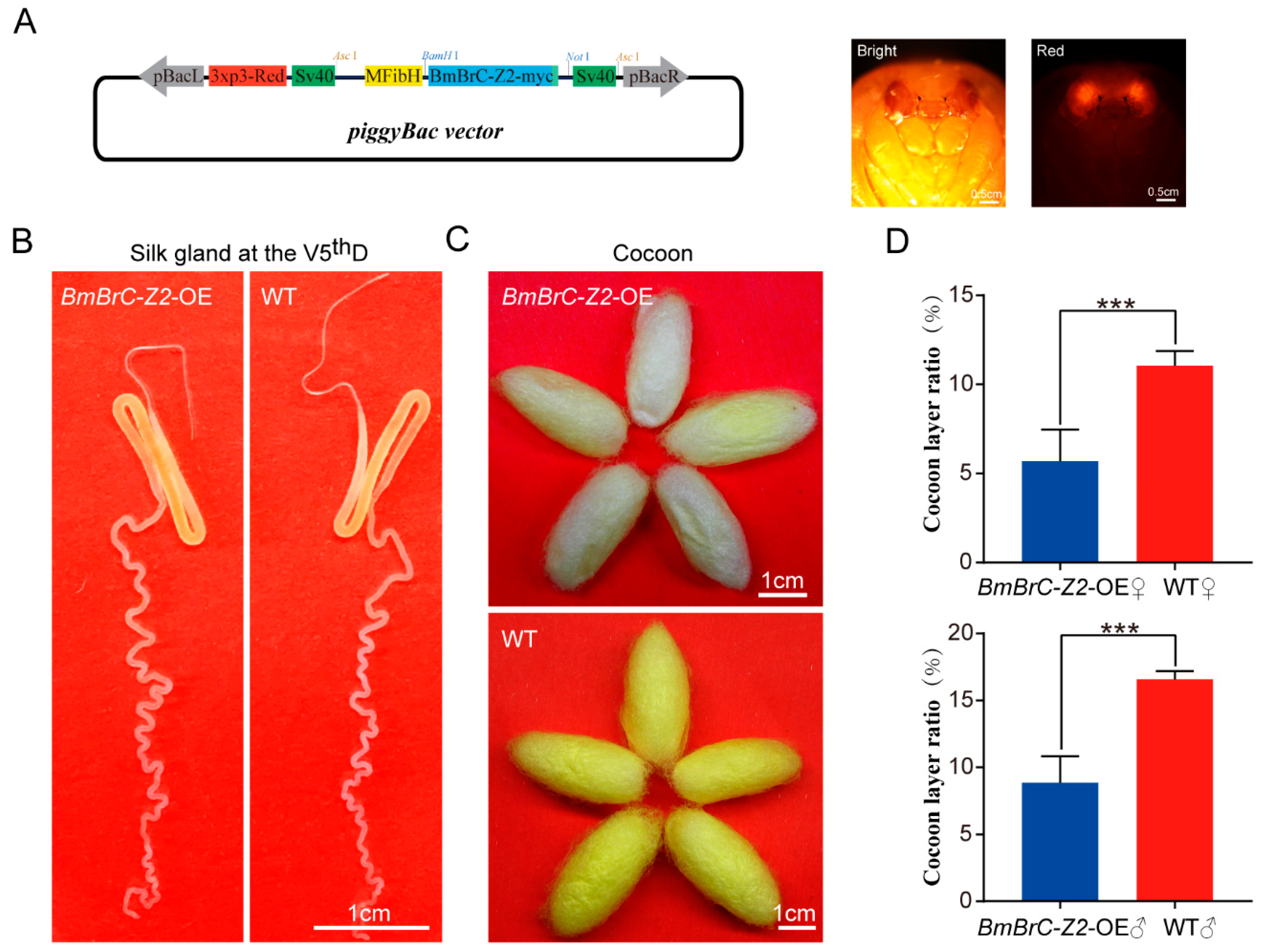 Insects 11 00374 g002 Insects 11 00374 g002