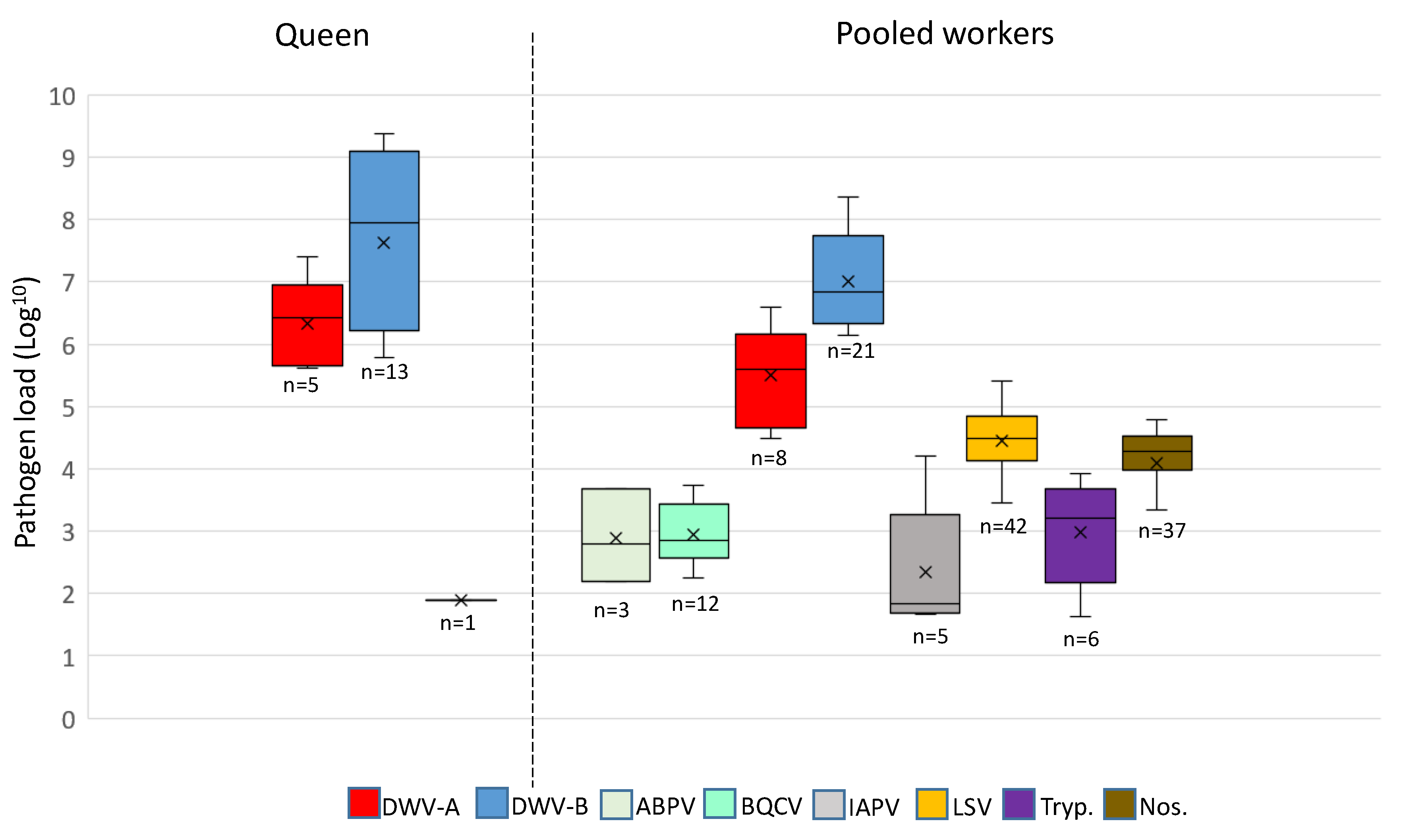 Insects 11 00382 g003
