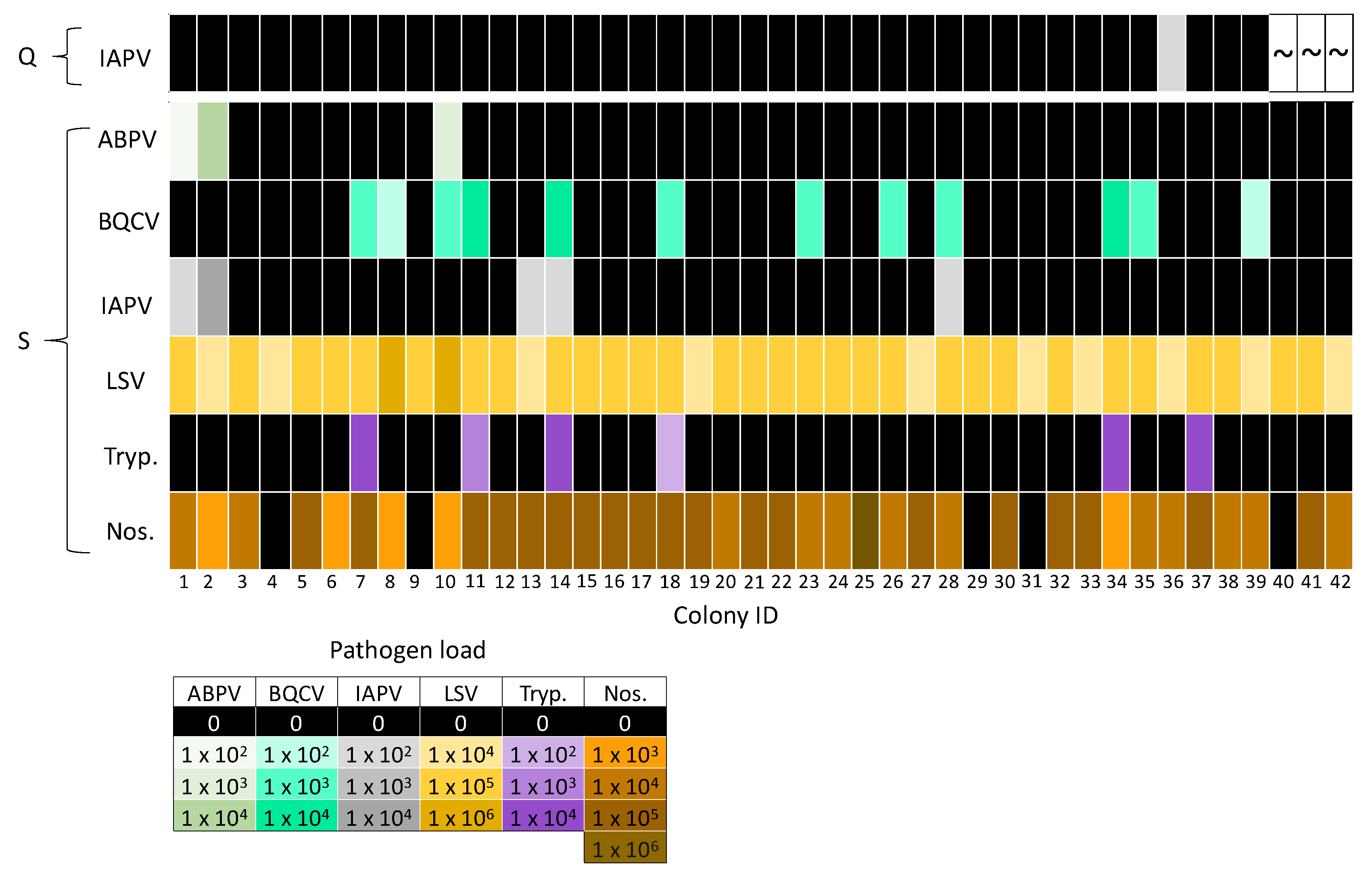 Insects 11 00382 g005
