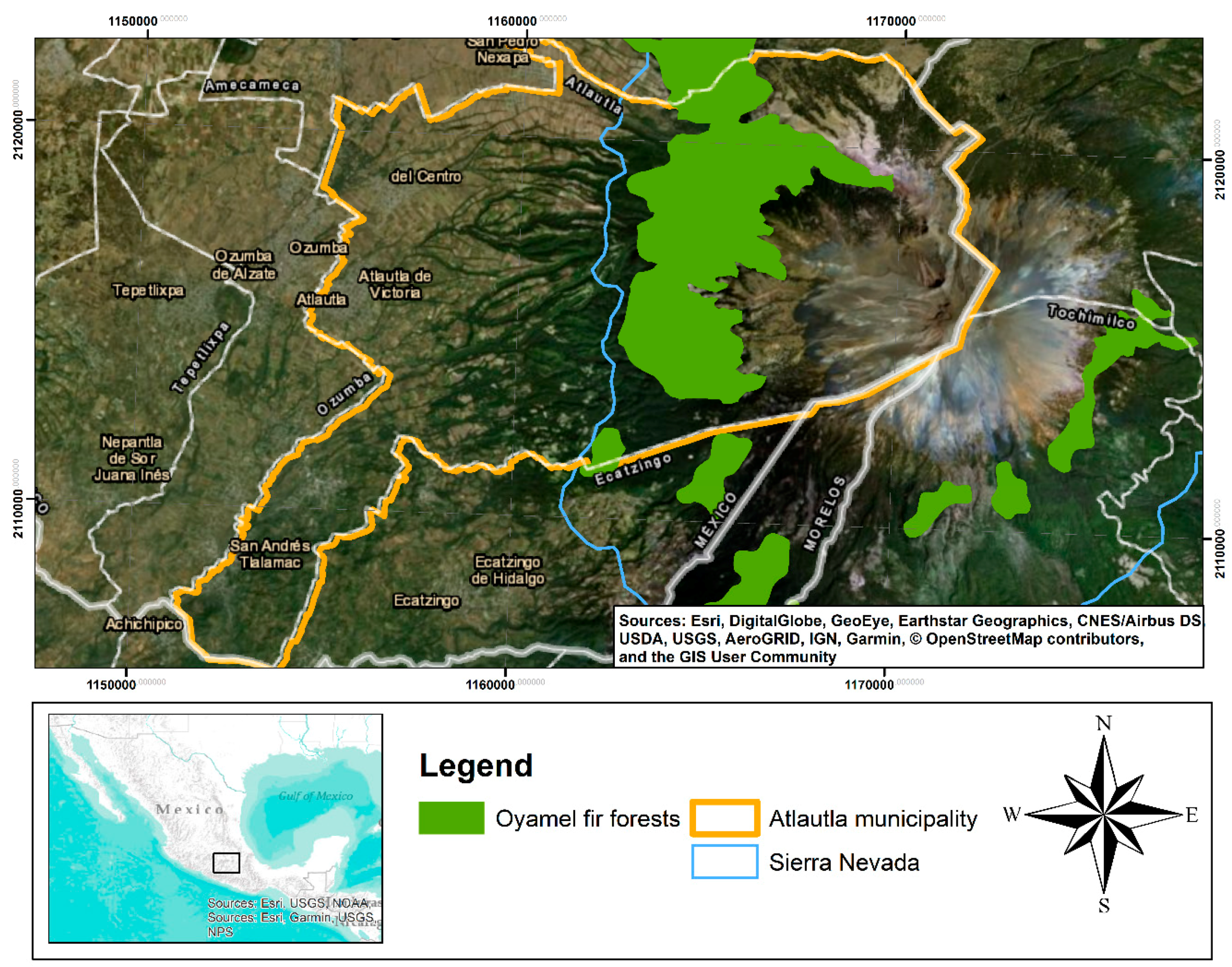 Insects 11 00384 g002