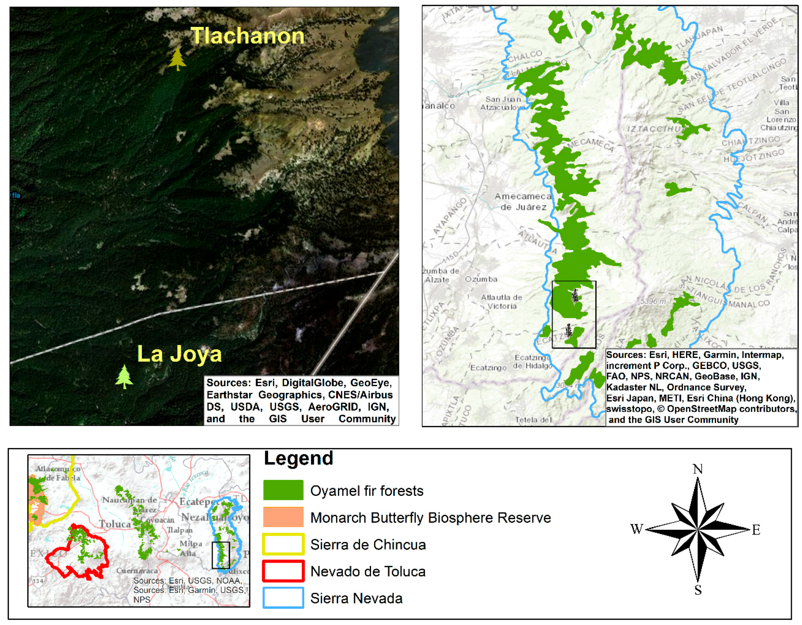 Insects 11 00384 g004