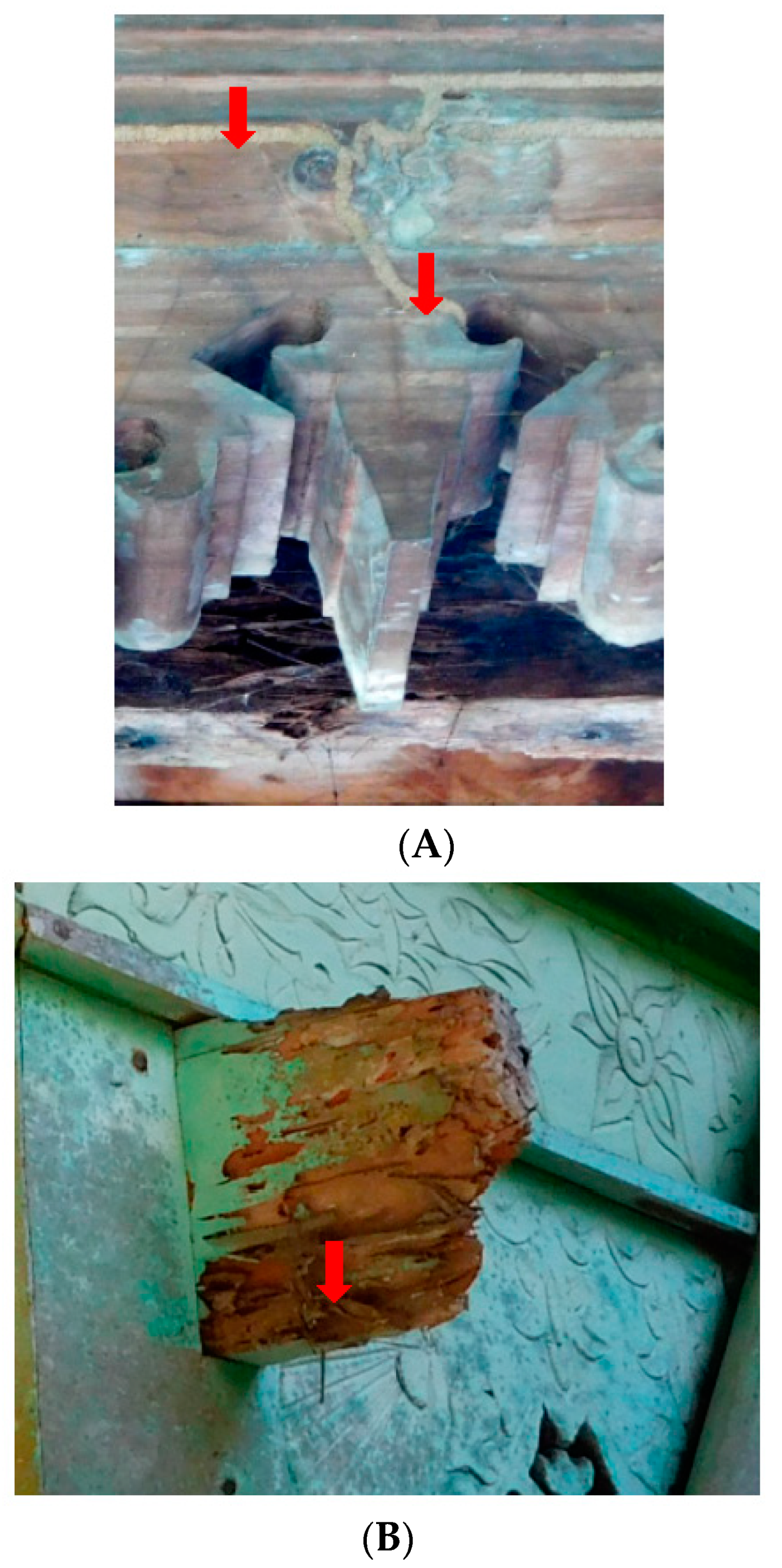 Insects 11 00385 g006 Insects 11 00385 g006