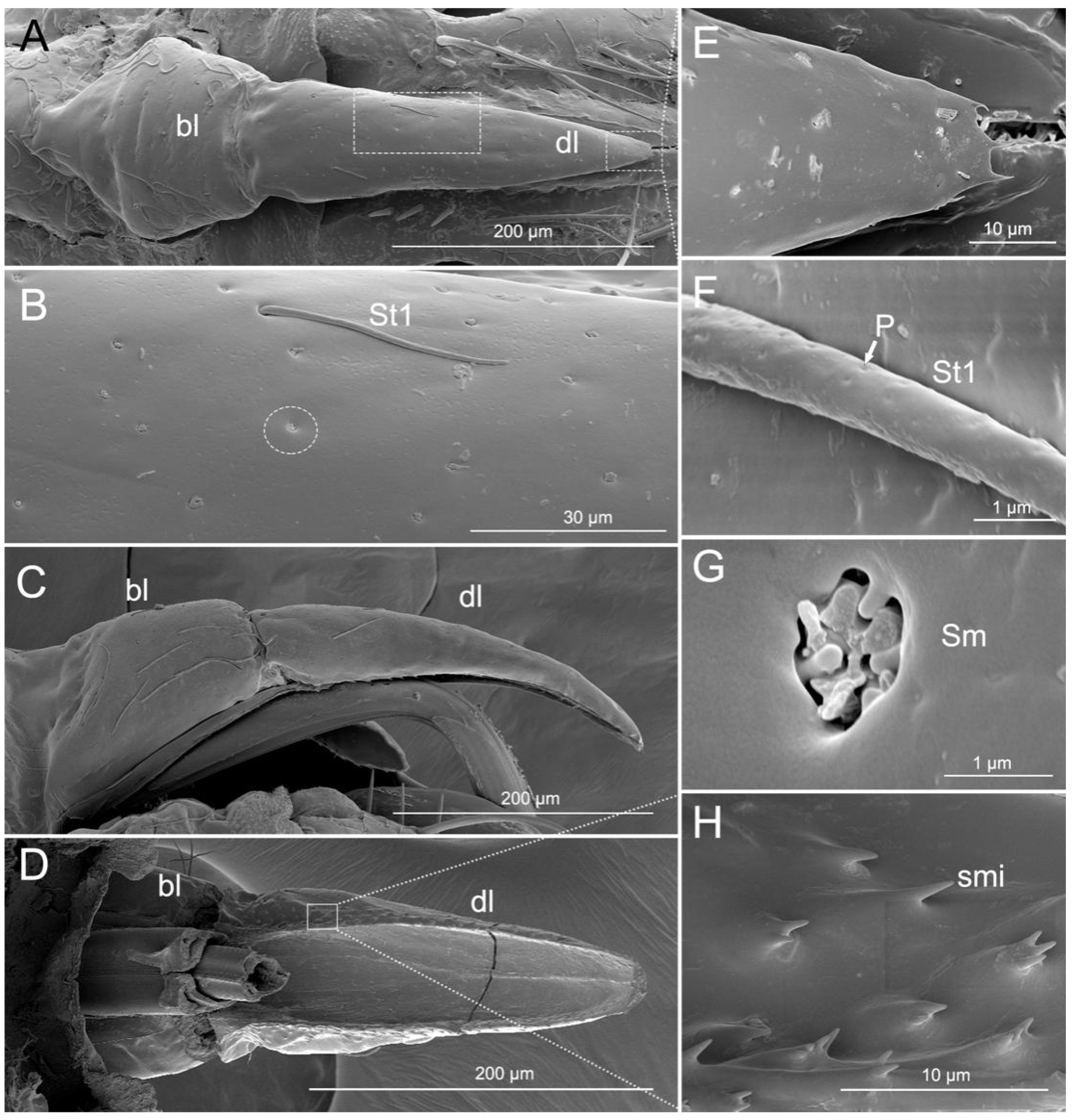 Insects 11 00386 g002 Insects 11 00386 g002
