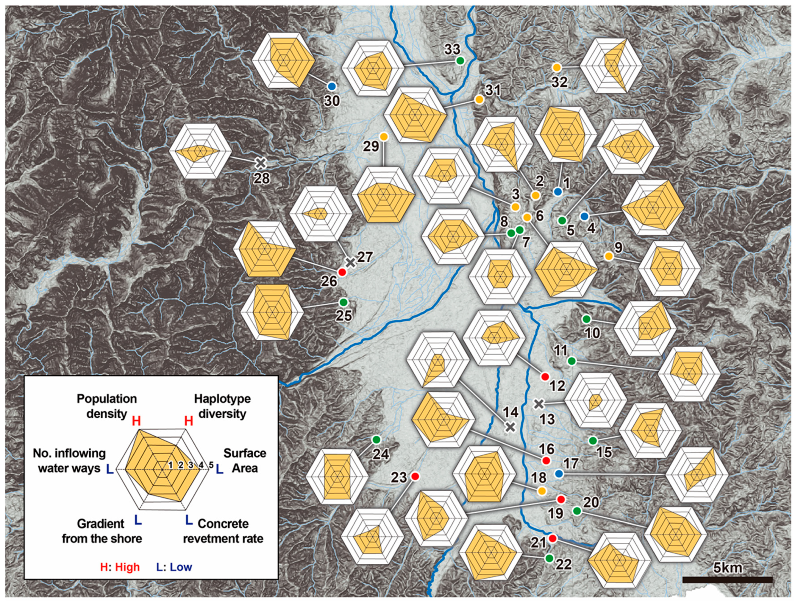 Insects Free Full Text Community Structure Of Aquatic Insects Adapted To Lentic Water Environments And Fine Scale Analyses Of Local Population Structures And The Genetic Structures Of An Endangered Giant Water Bug