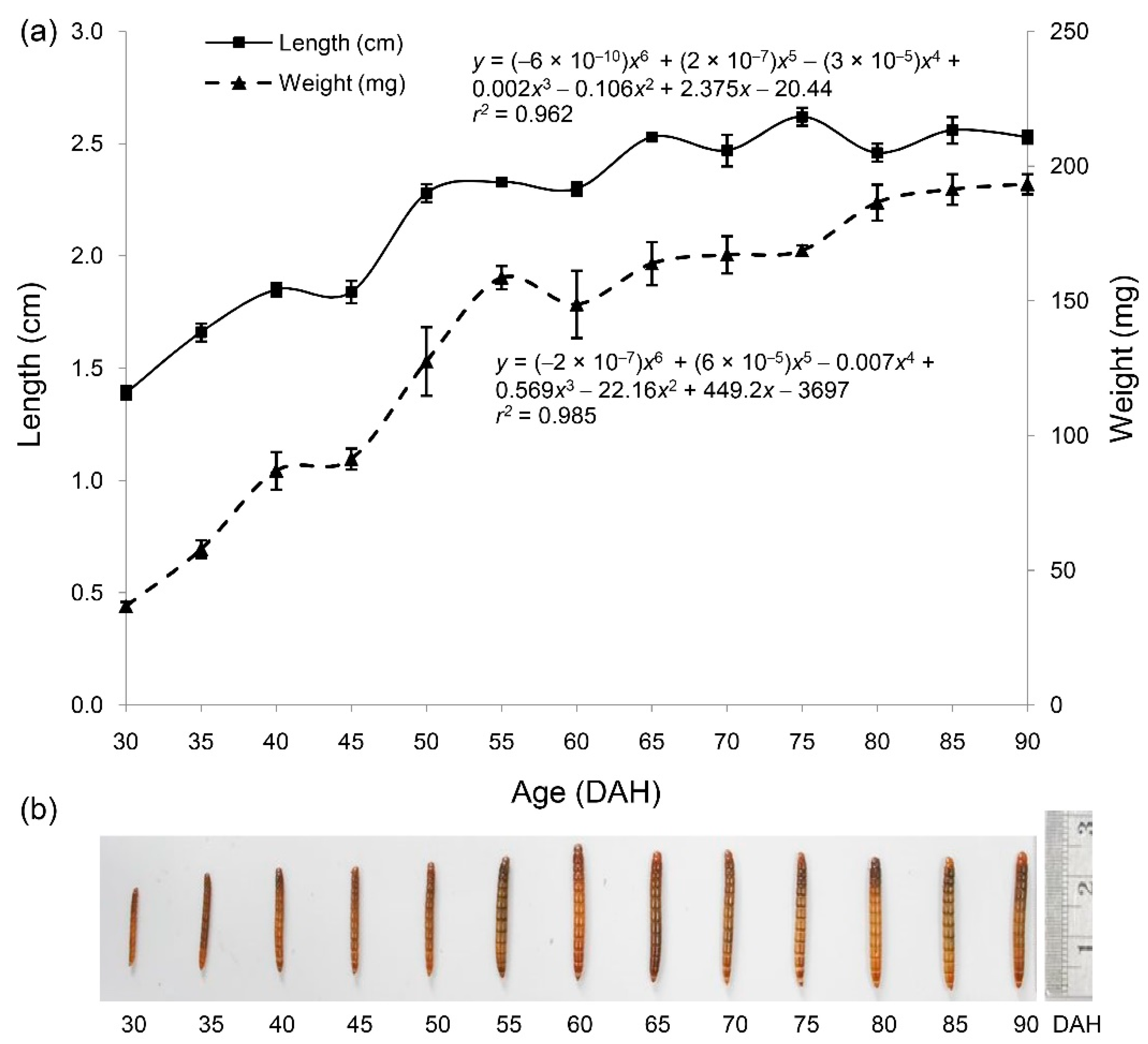 Insects 11 00393 g001