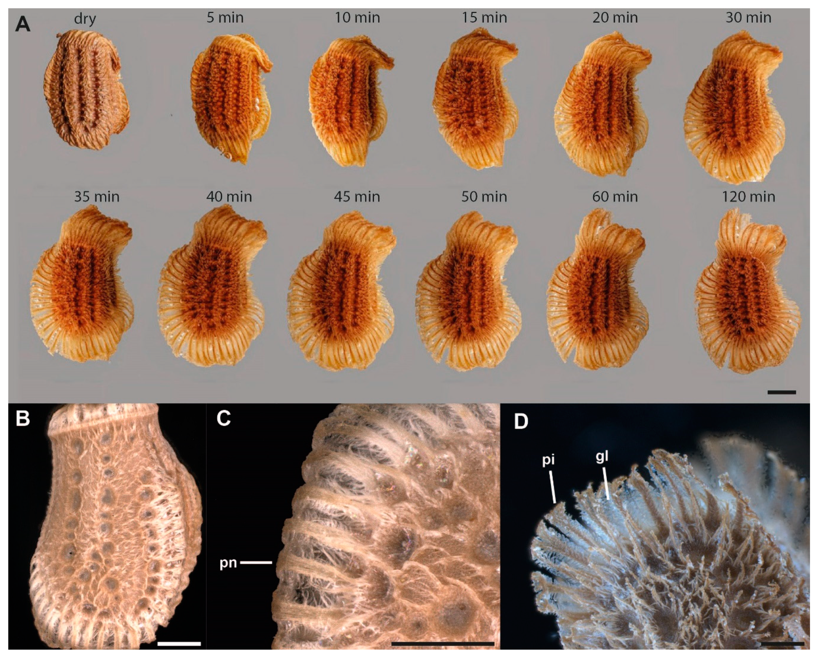 Insects 11 00400 g003 Insects 11 00400 g003