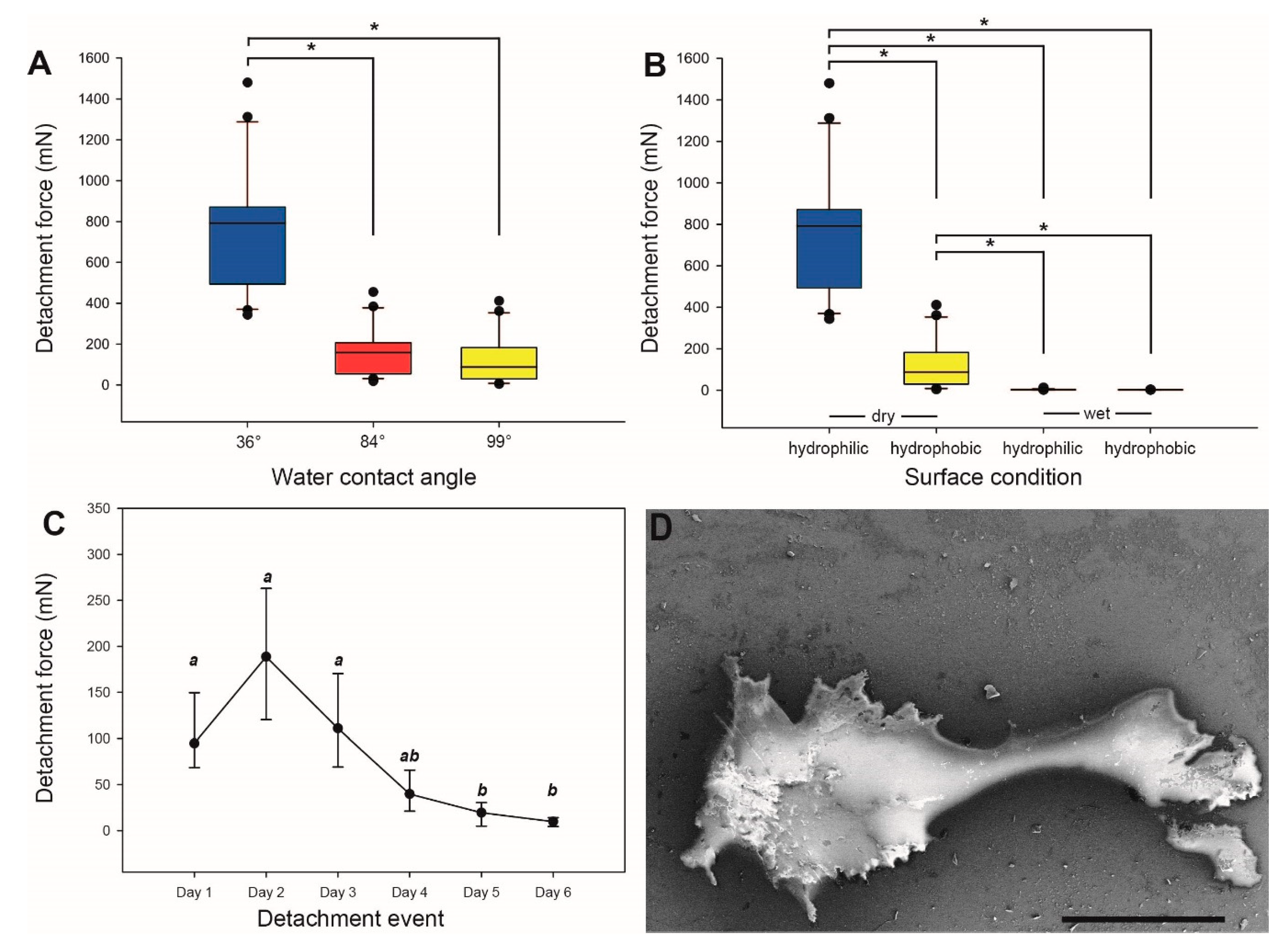 Insects 11 00400 g006 Insects 11 00400 g006