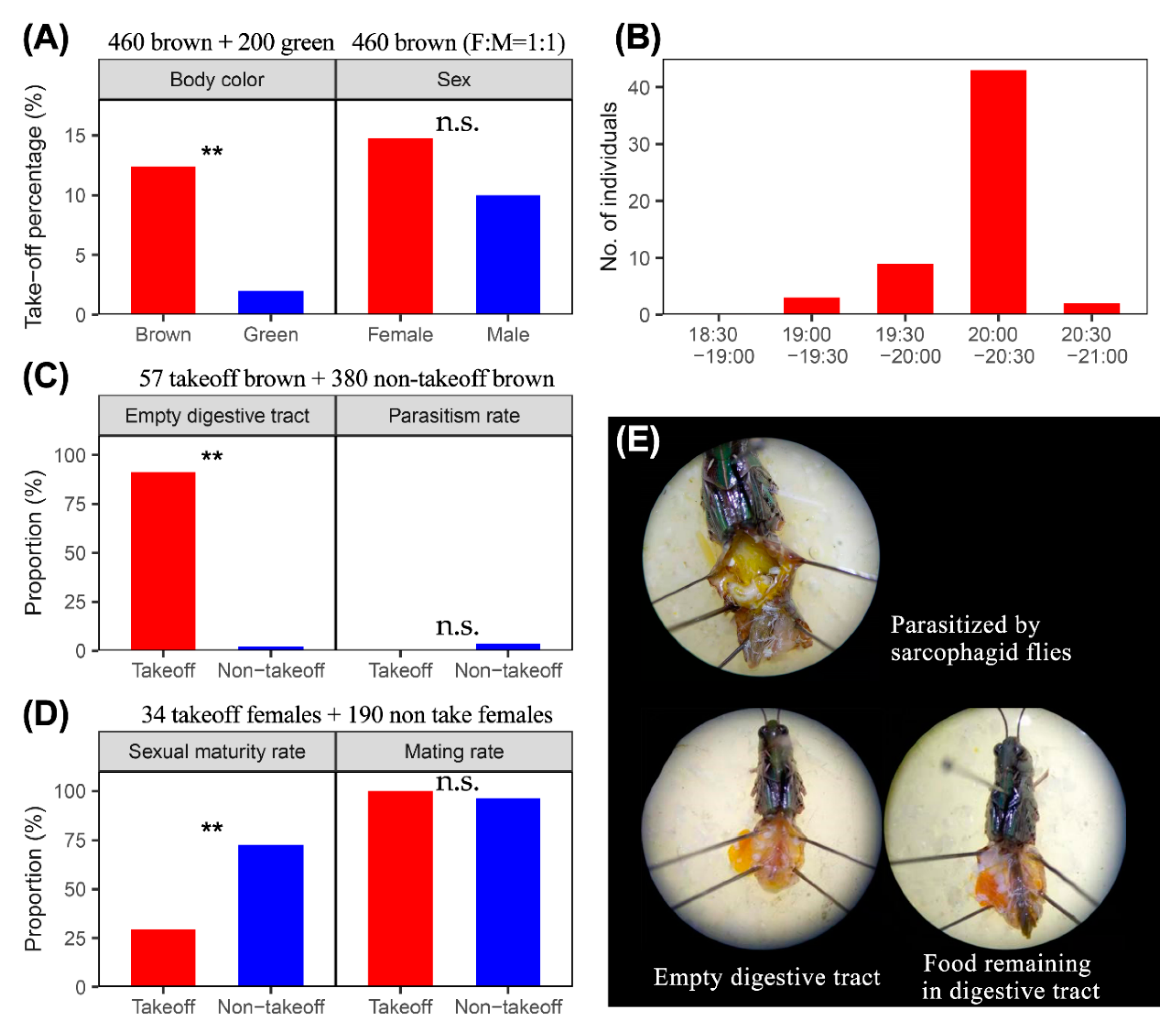 Insects 11 00416 g001
