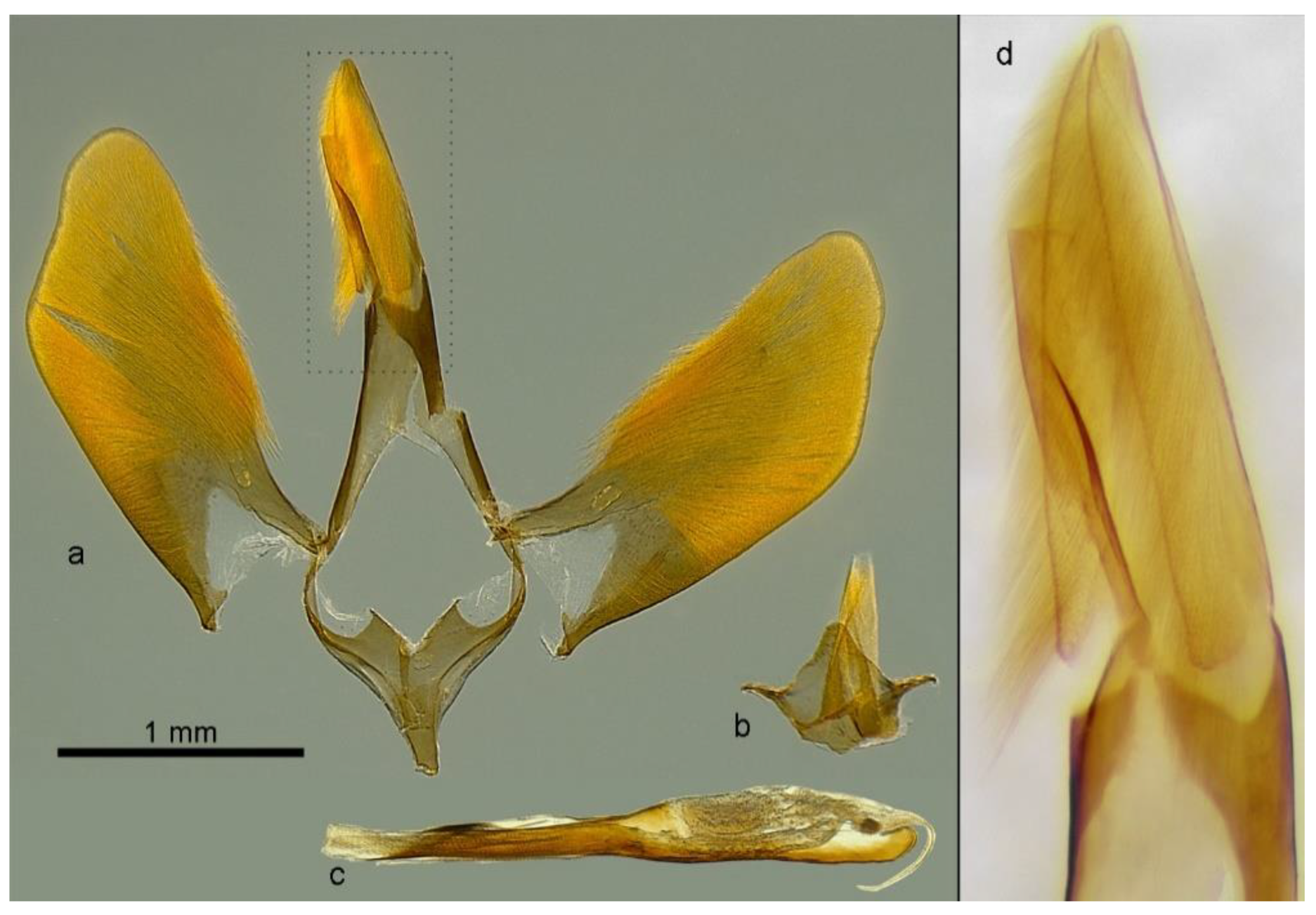 Insects 11 00425 g003 Insects 11 00425 g003