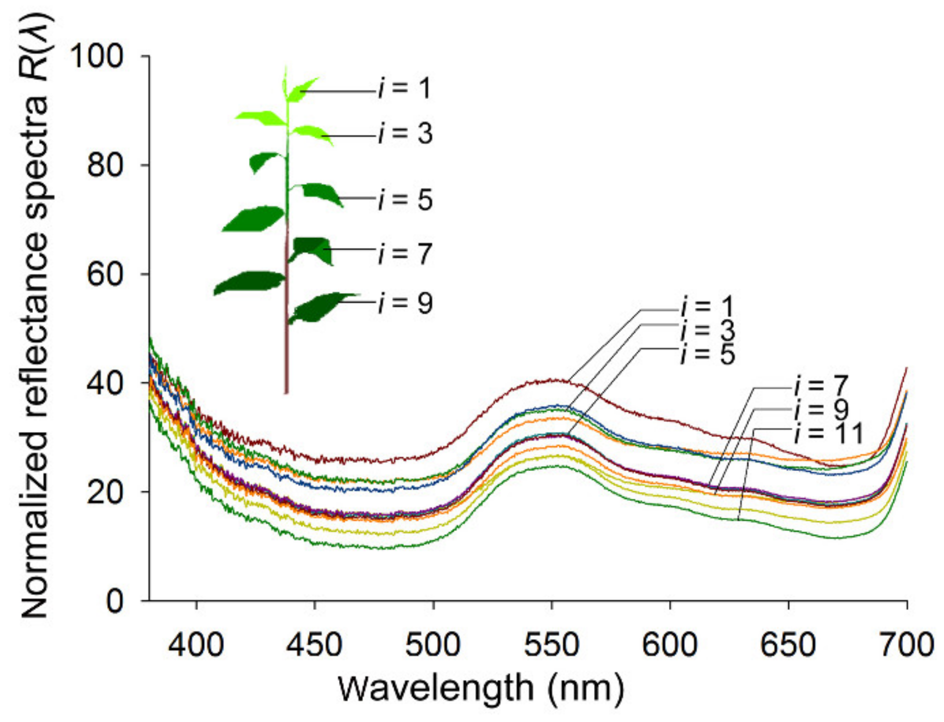 Insects 11 00426 g001 Insects 11 00426 g001
