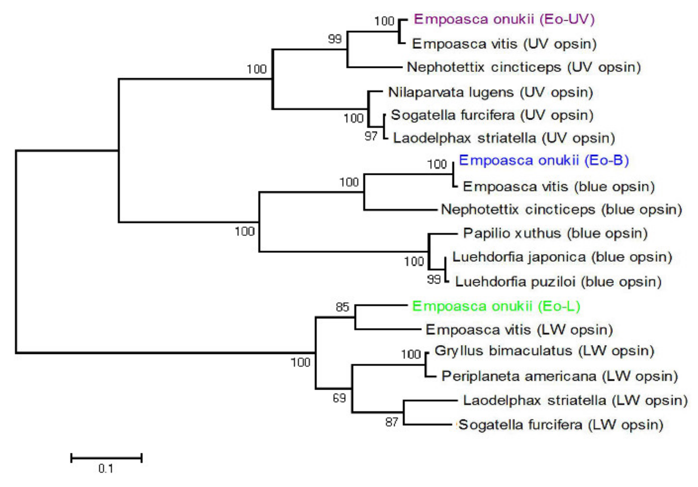 Insects 11 00426 g002 Insects 11 00426 g002
