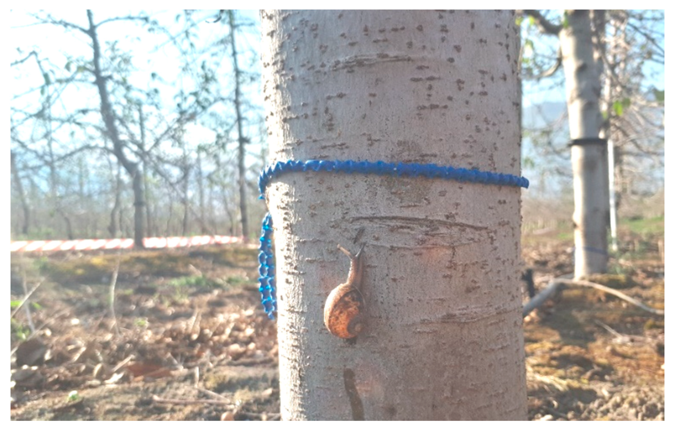 Insects 11 00437 g001