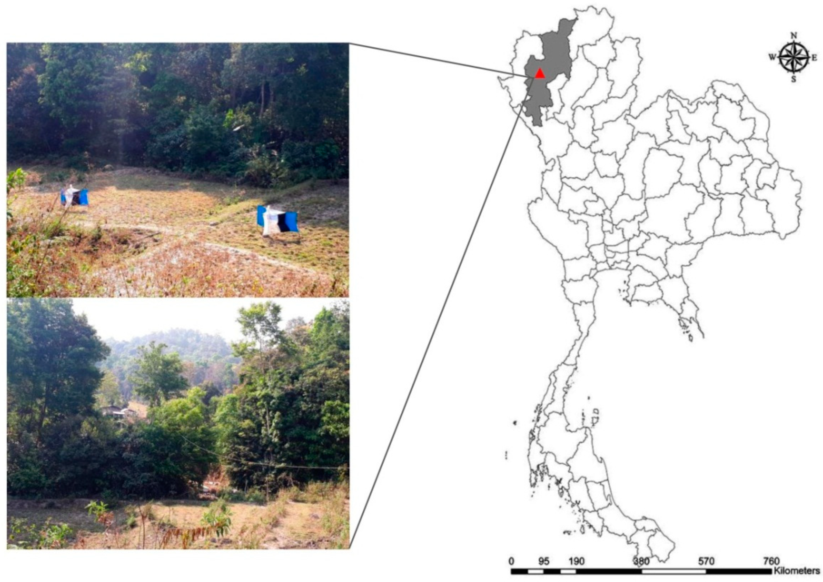 Insects 11 00451 g001 Insects 11 00451 g001