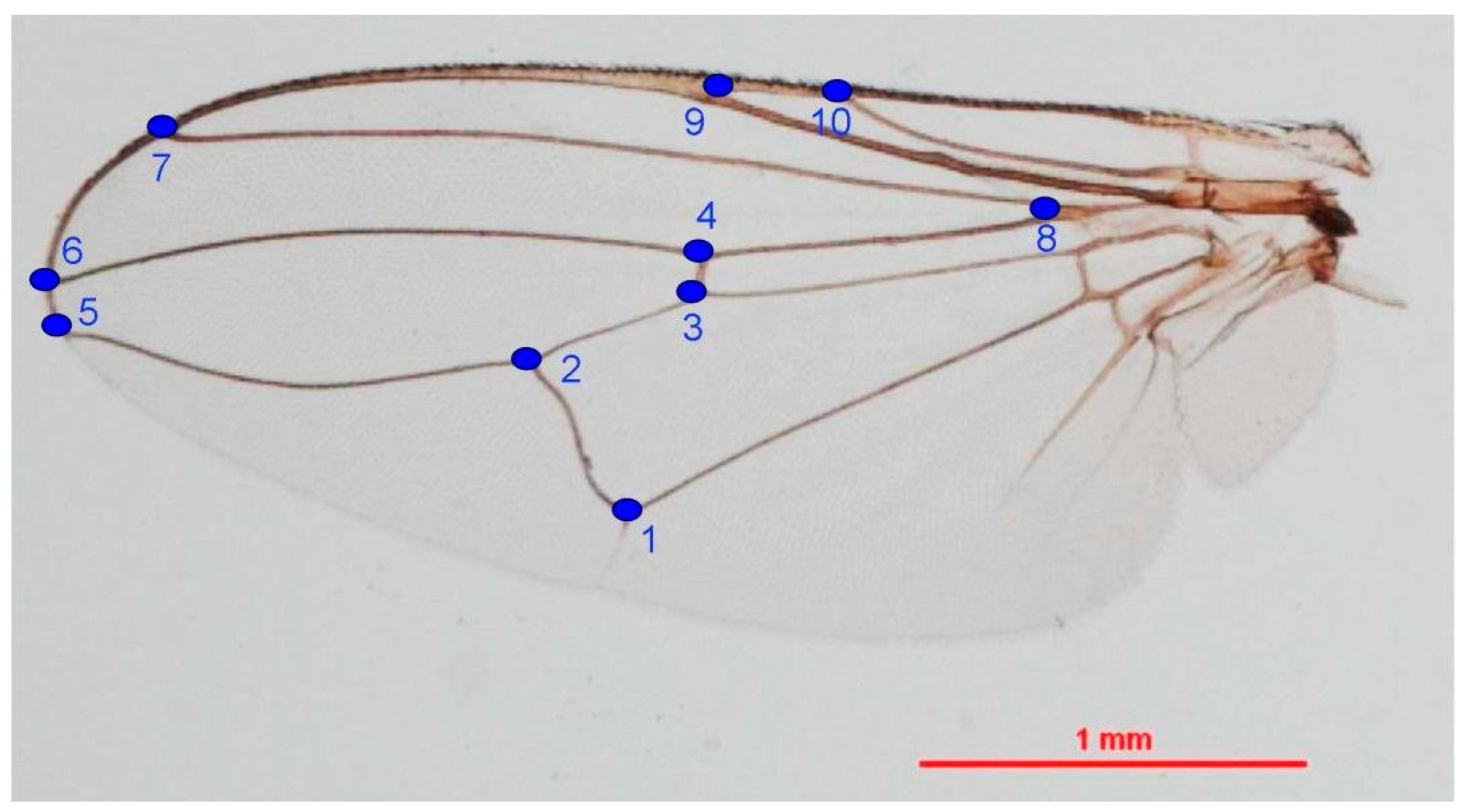 Insects 11 00451 g002 Insects 11 00451 g002