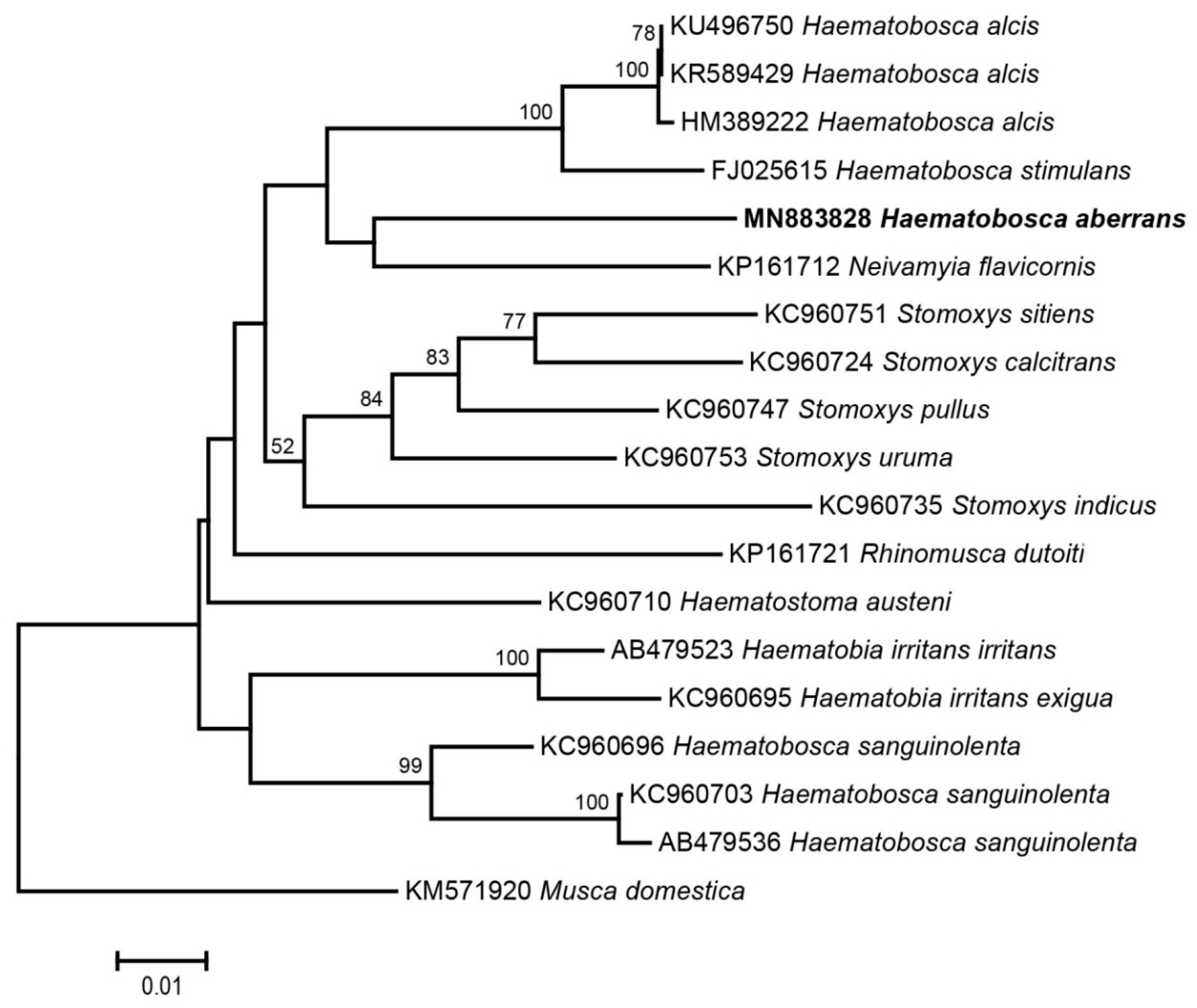 Insects 11 00451 g003 Insects 11 00451 g003