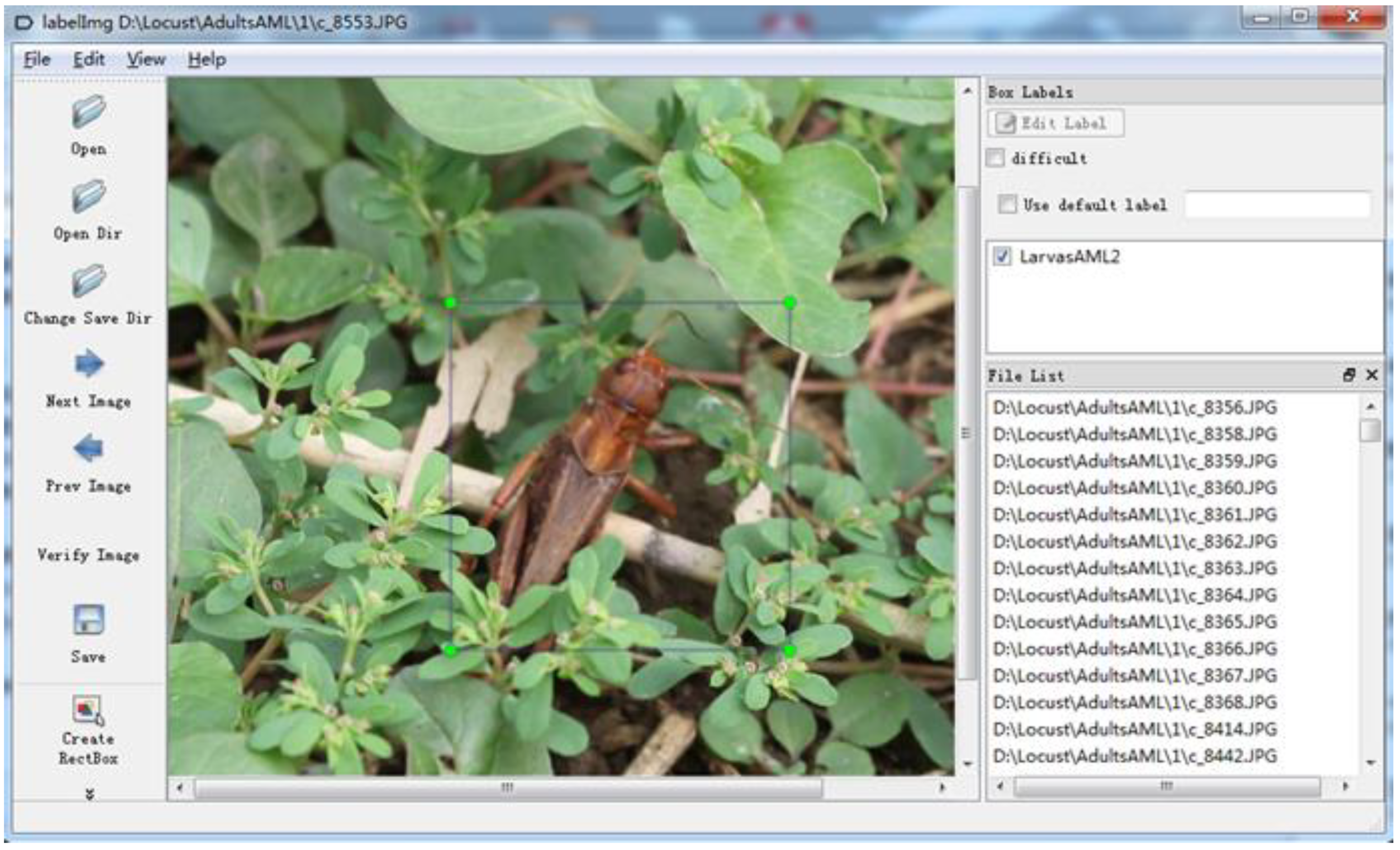 Insects 11 00458 g001