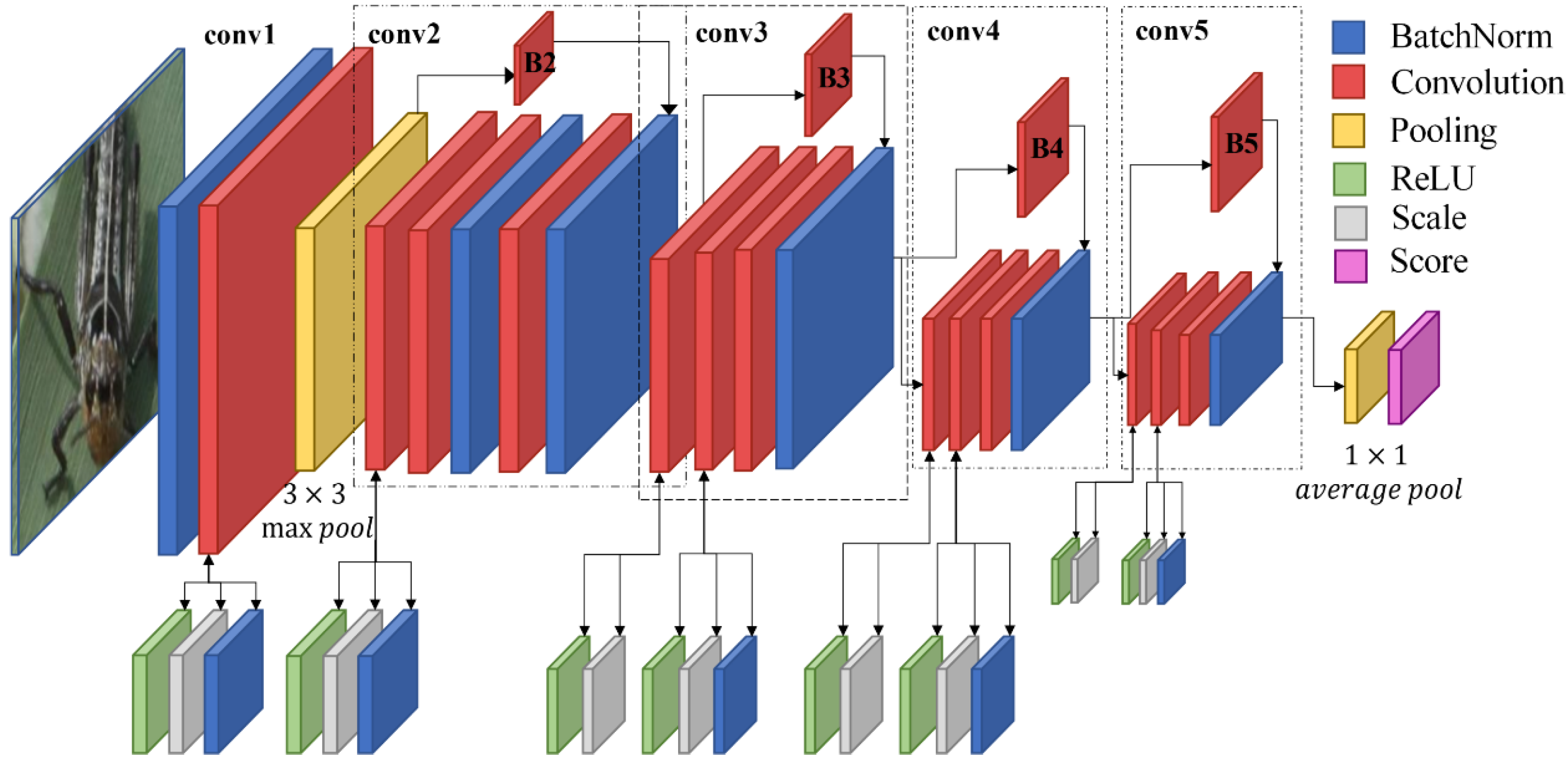 Insects 11 00458 g003