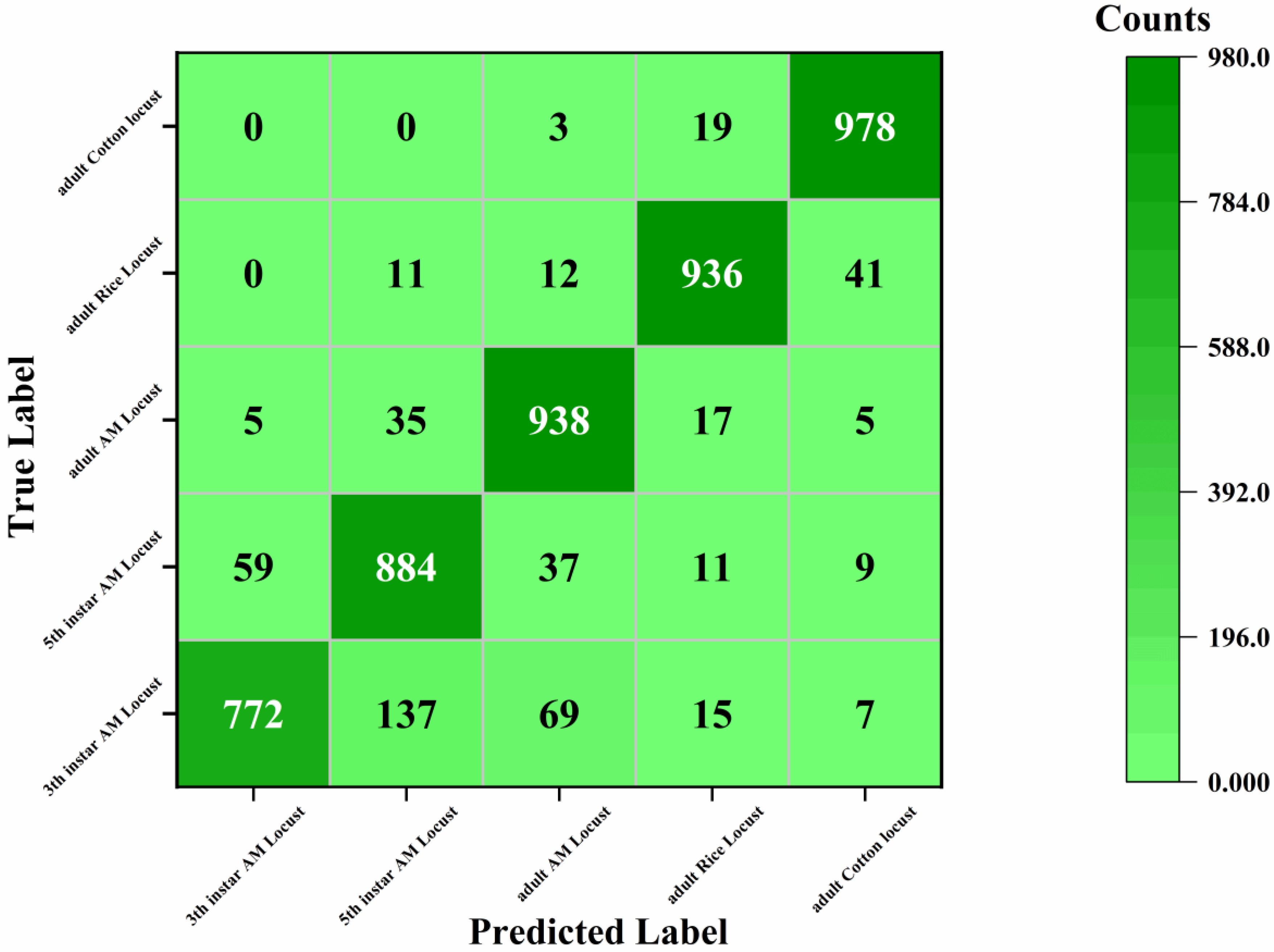 Insects 11 00458 g009