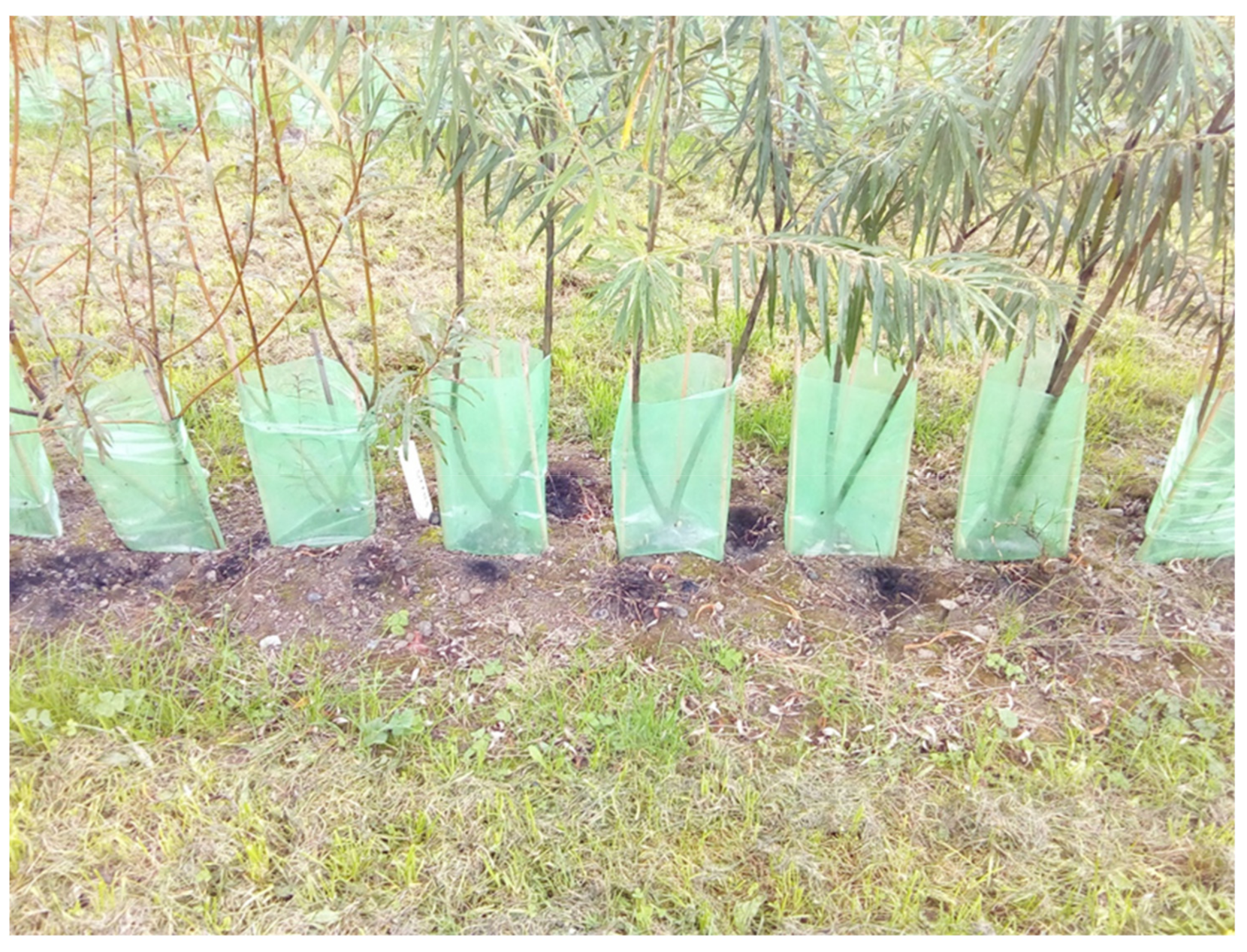 Insects 11 00460 g001 Insects 11 00460 g001