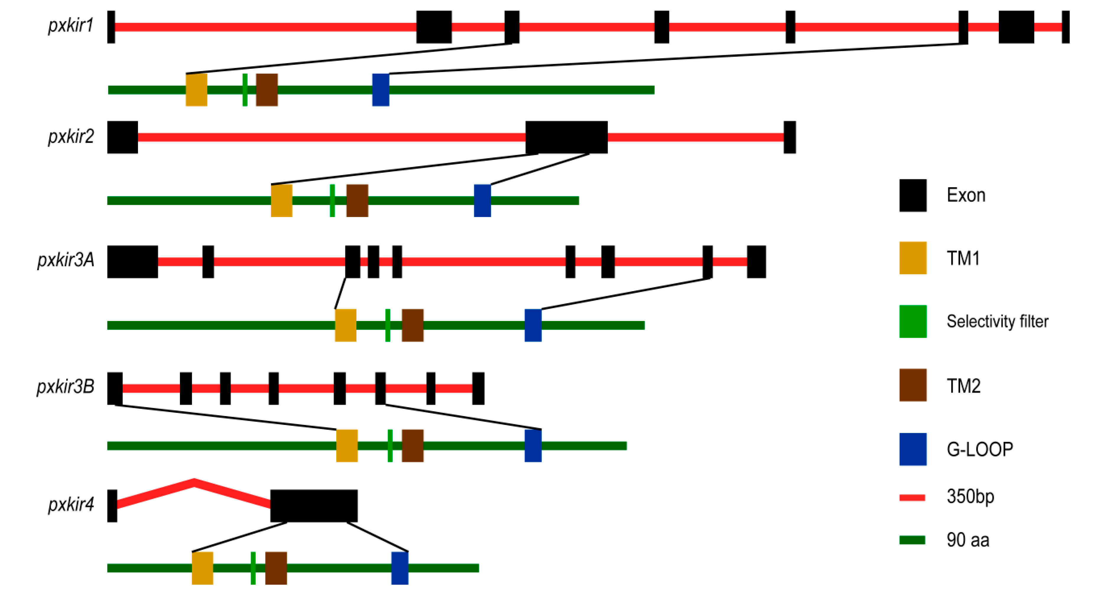 Insects 11 00461 g002 Insects 11 00461 g002