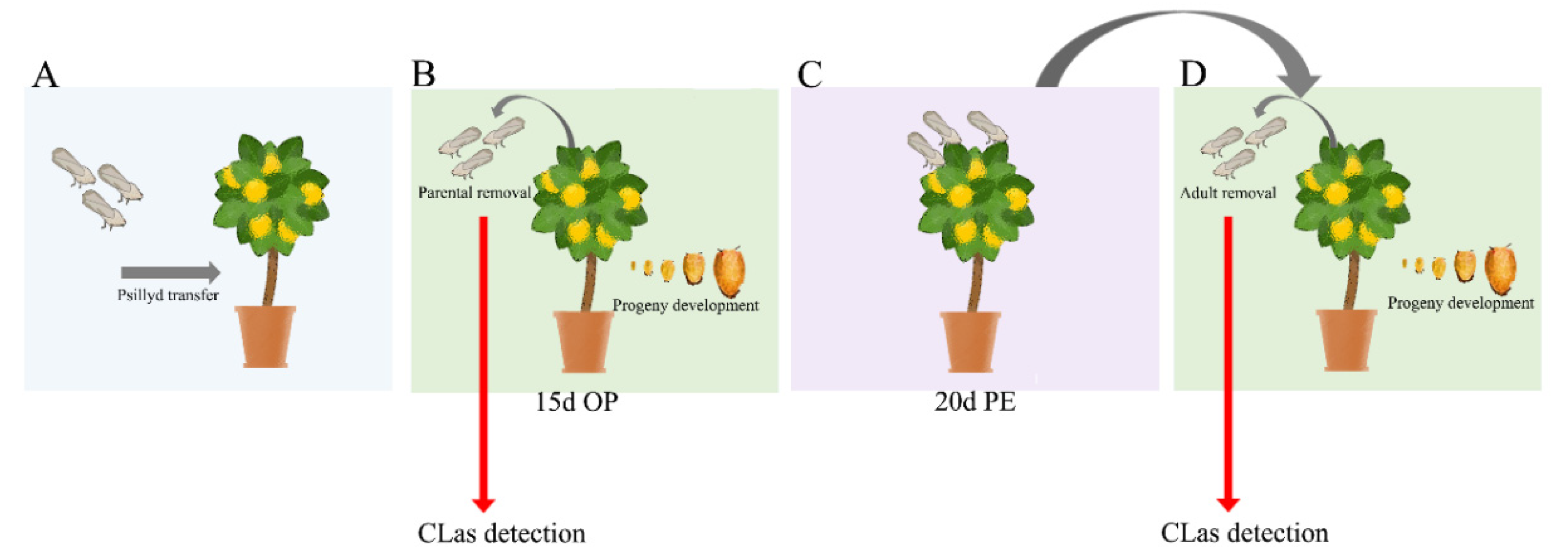Insects 11 00469 g001 Insects 11 00469 g001