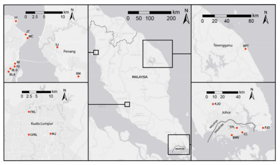 Insects  Free Full-Text  Infestation Pattern and Population 