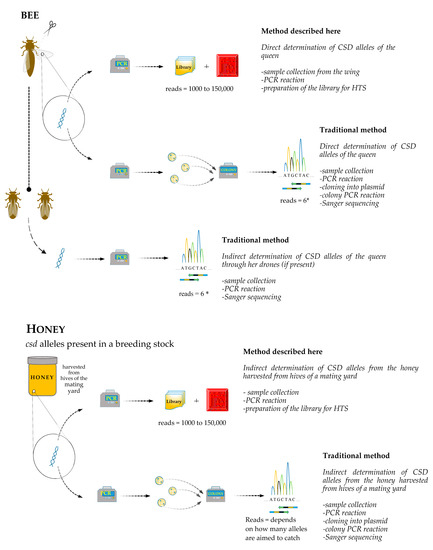 csd engineers swiss anti aging