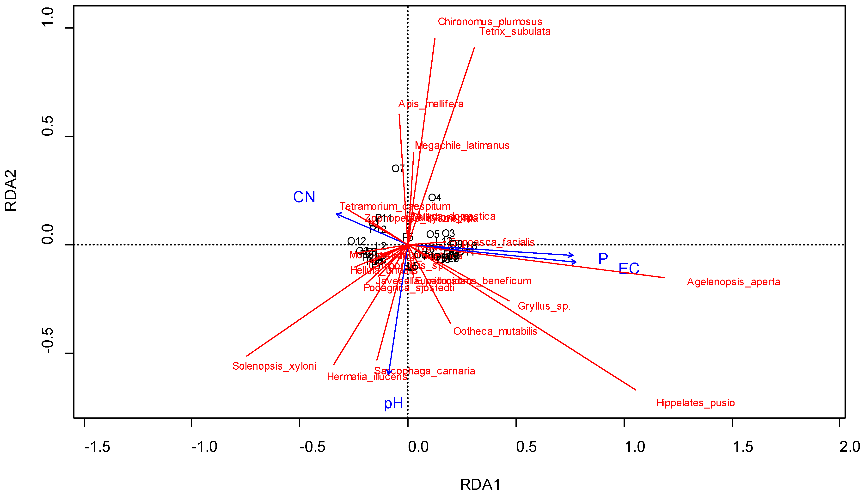 Insects 11 00488 g005