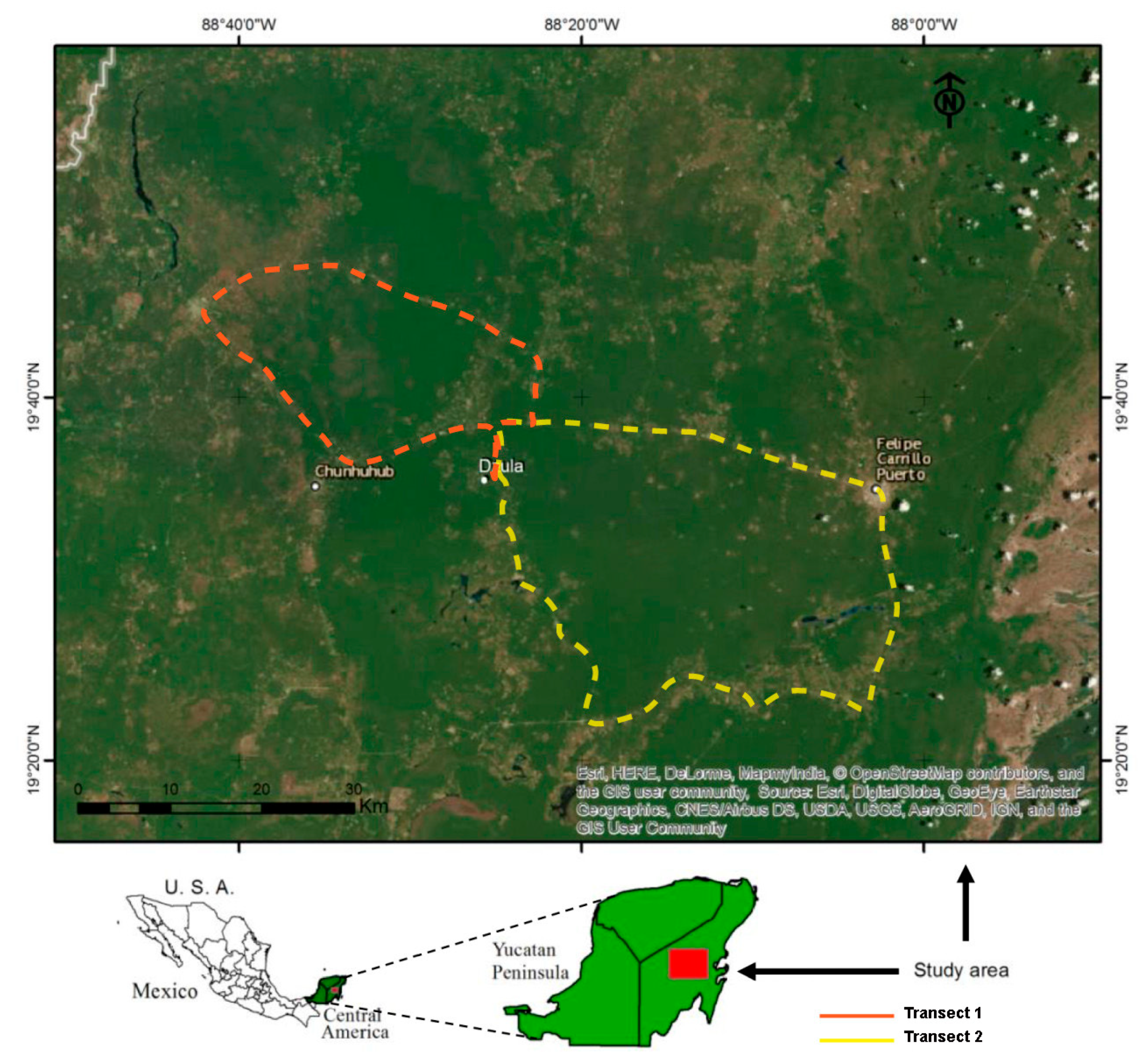 Insects 11 00495 g001