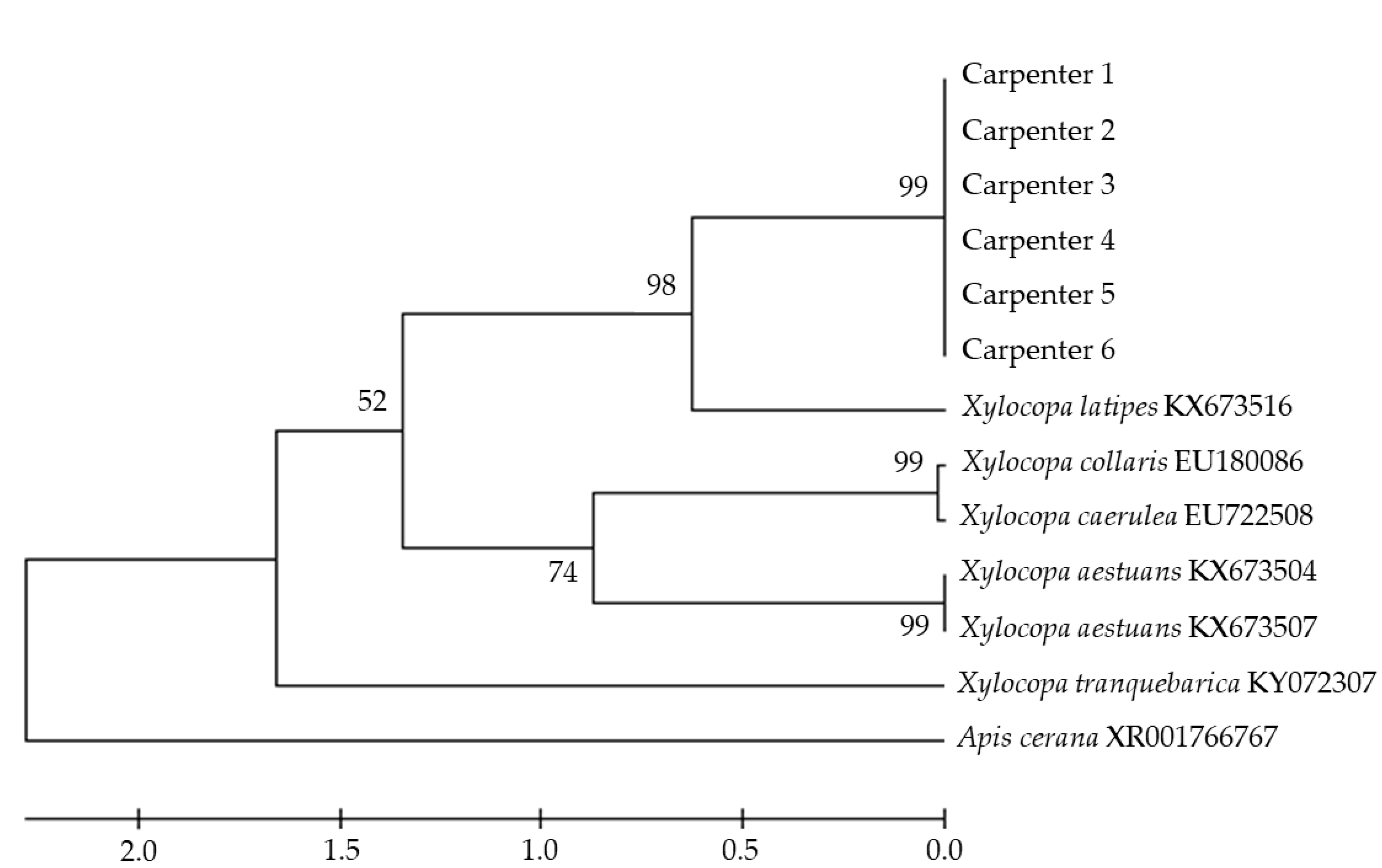Insects 11 00497 g002