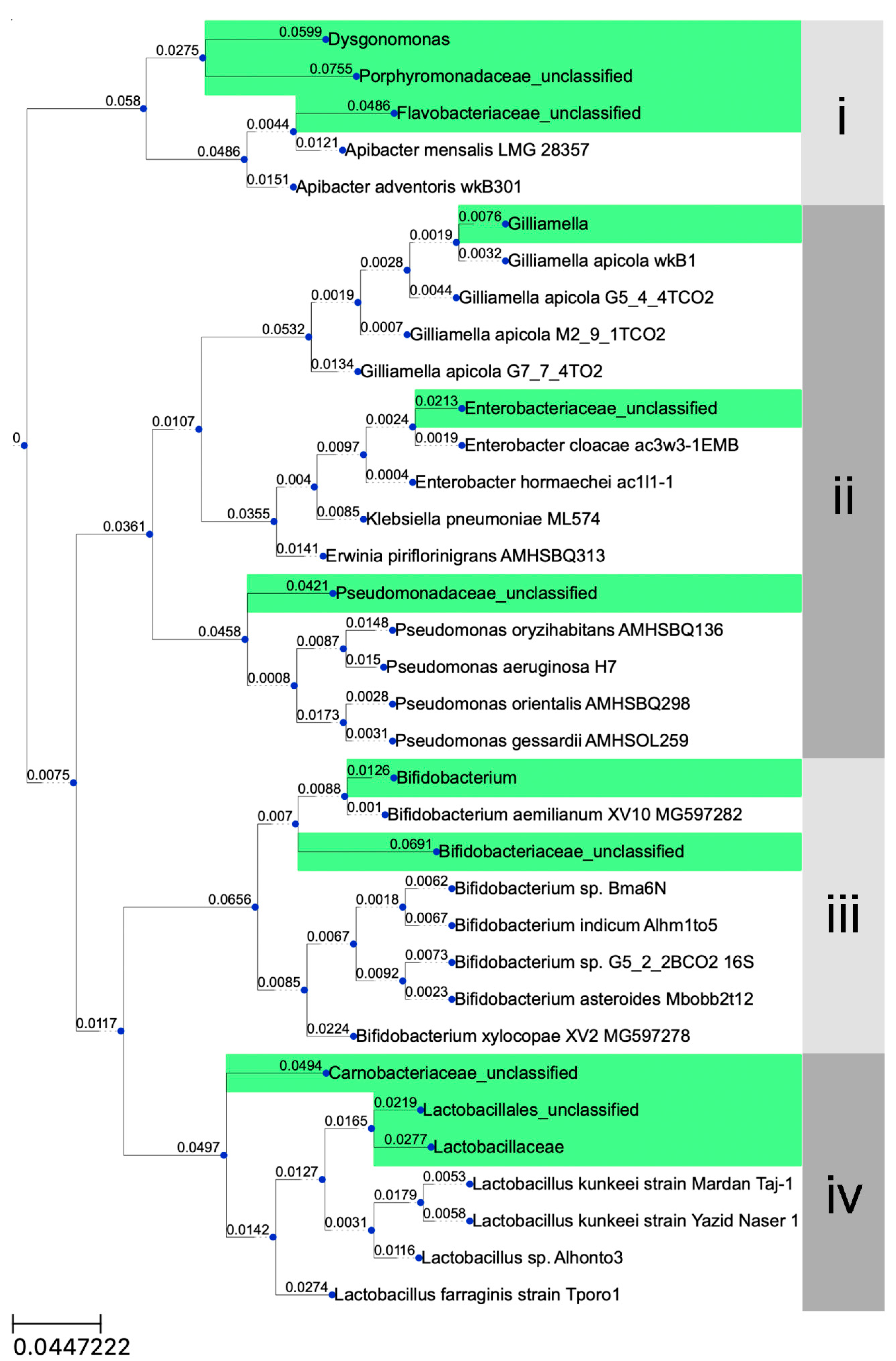 Insects 11 00497 g006