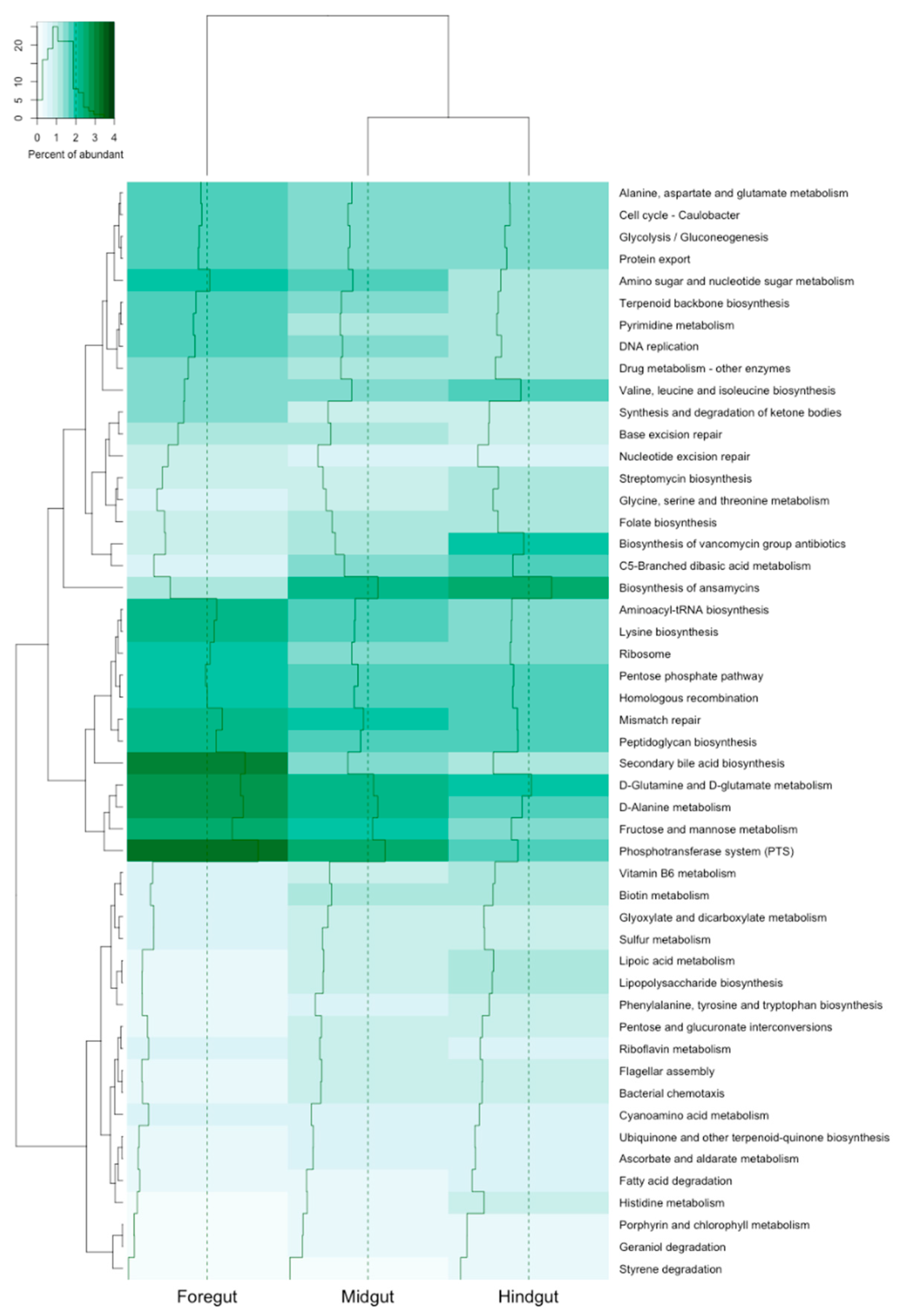 Insects 11 00497 g007