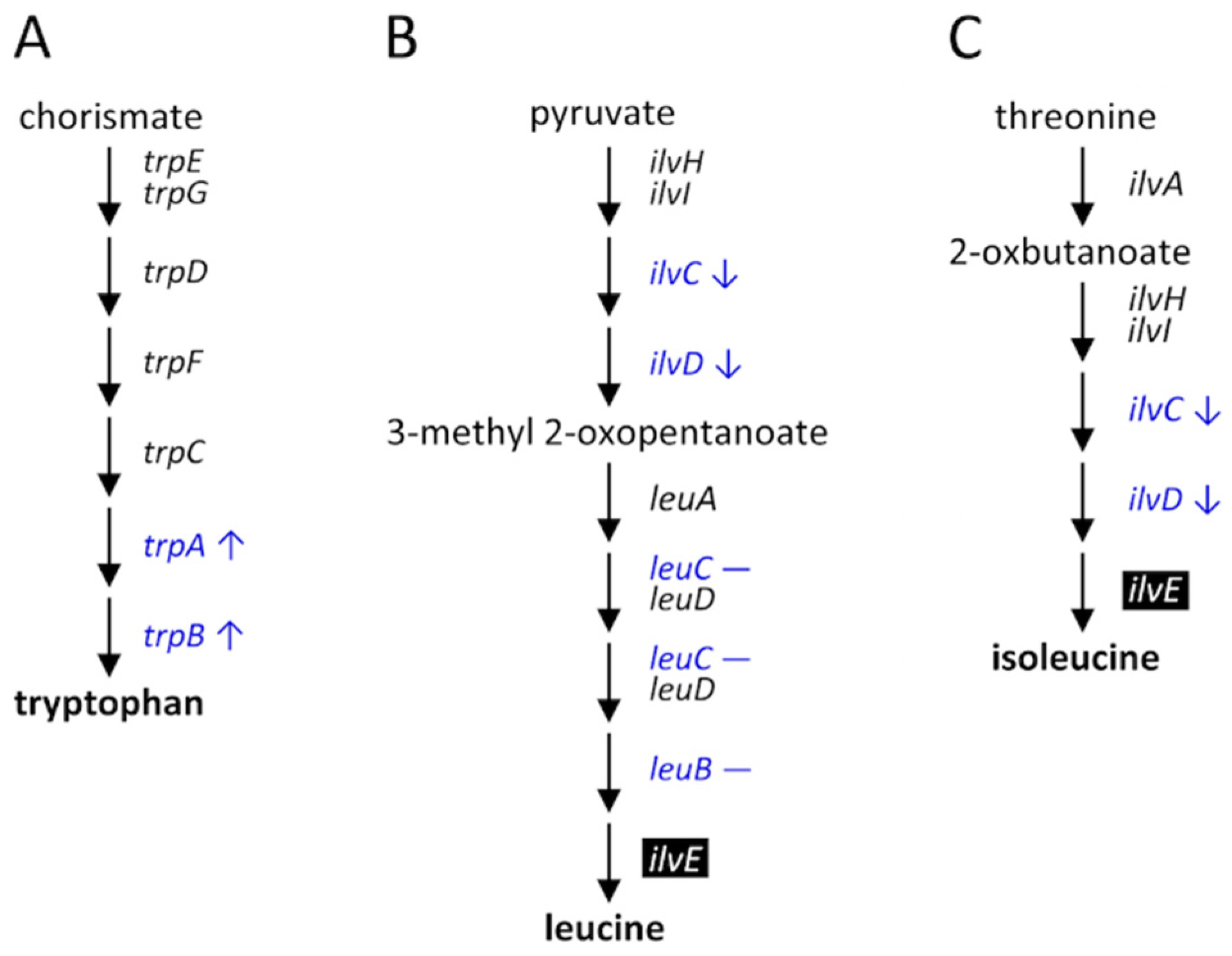 Insects 11 00498 g008 Insects 11 00498 g008