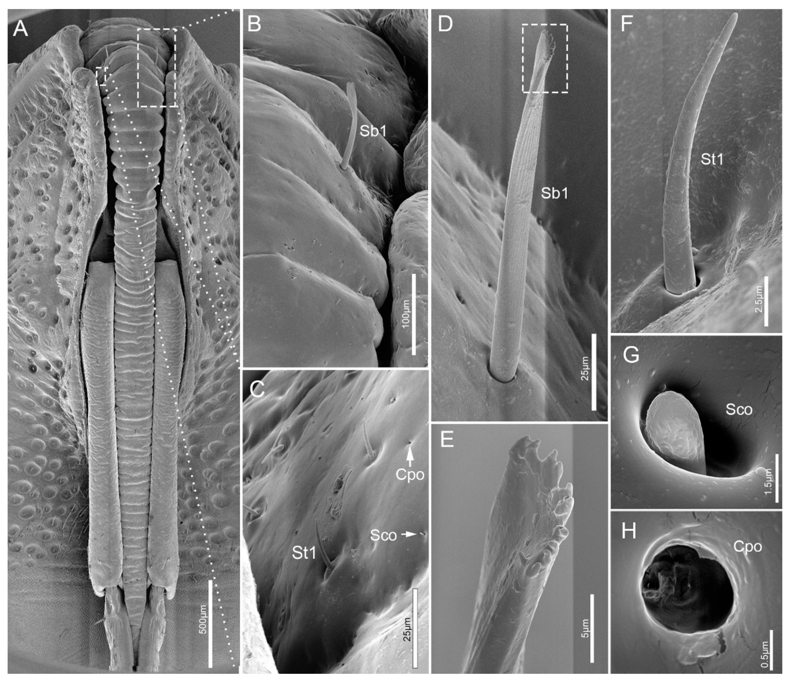 Insects 11 00503 g002 Insects 11 00503 g002