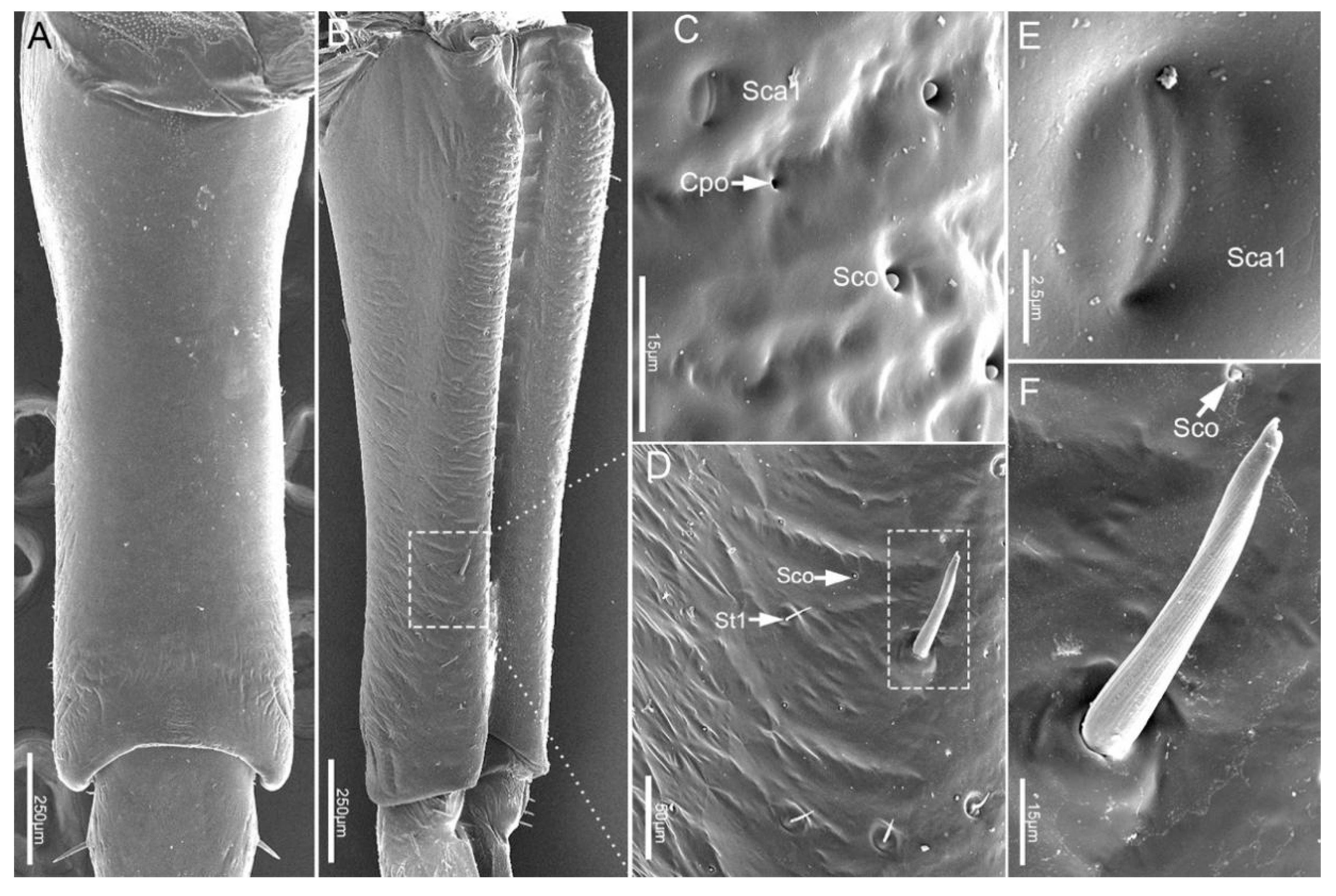 Insects 11 00503 g003 Insects 11 00503 g003