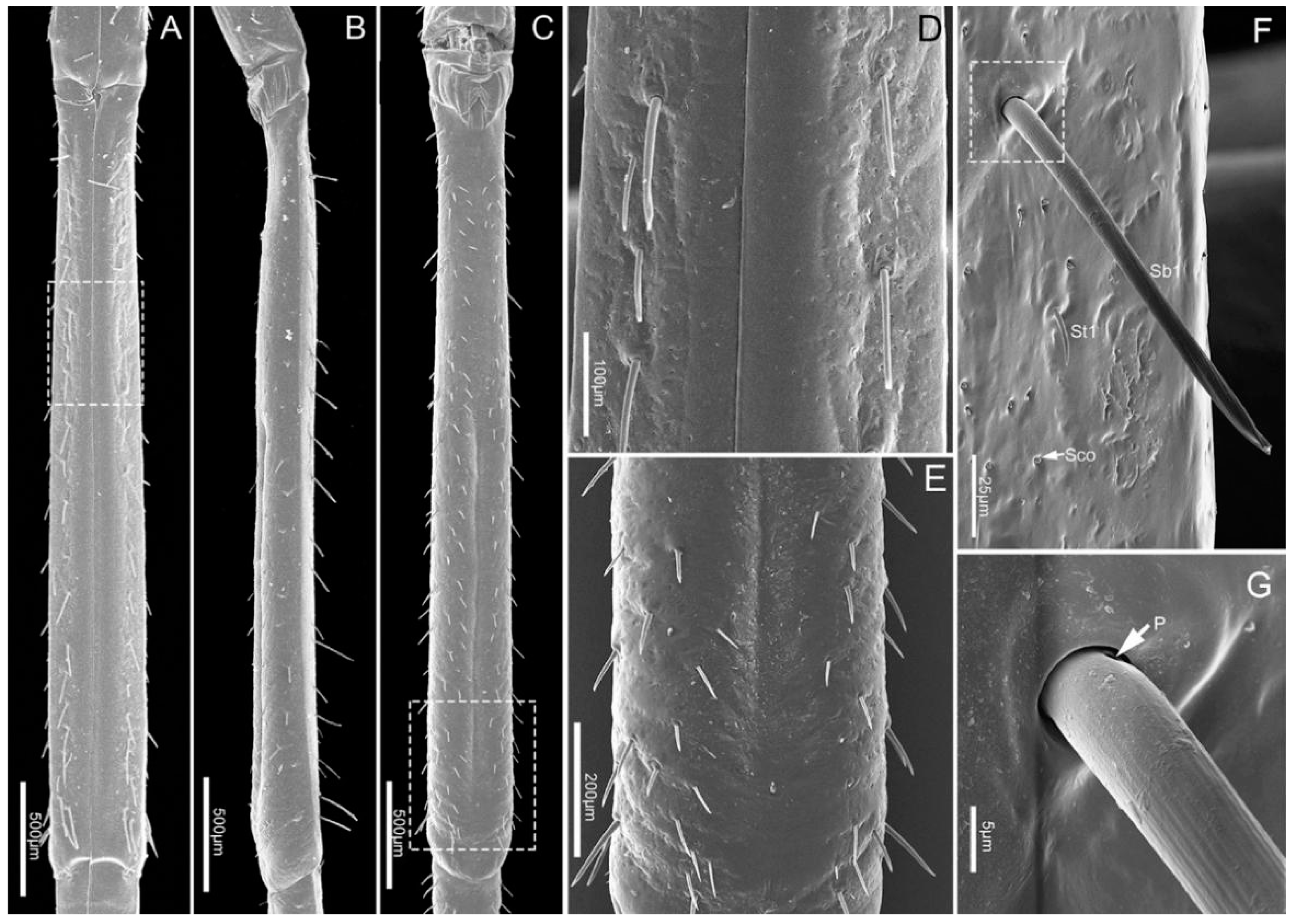 Insects 11 00503 g005 Insects 11 00503 g005