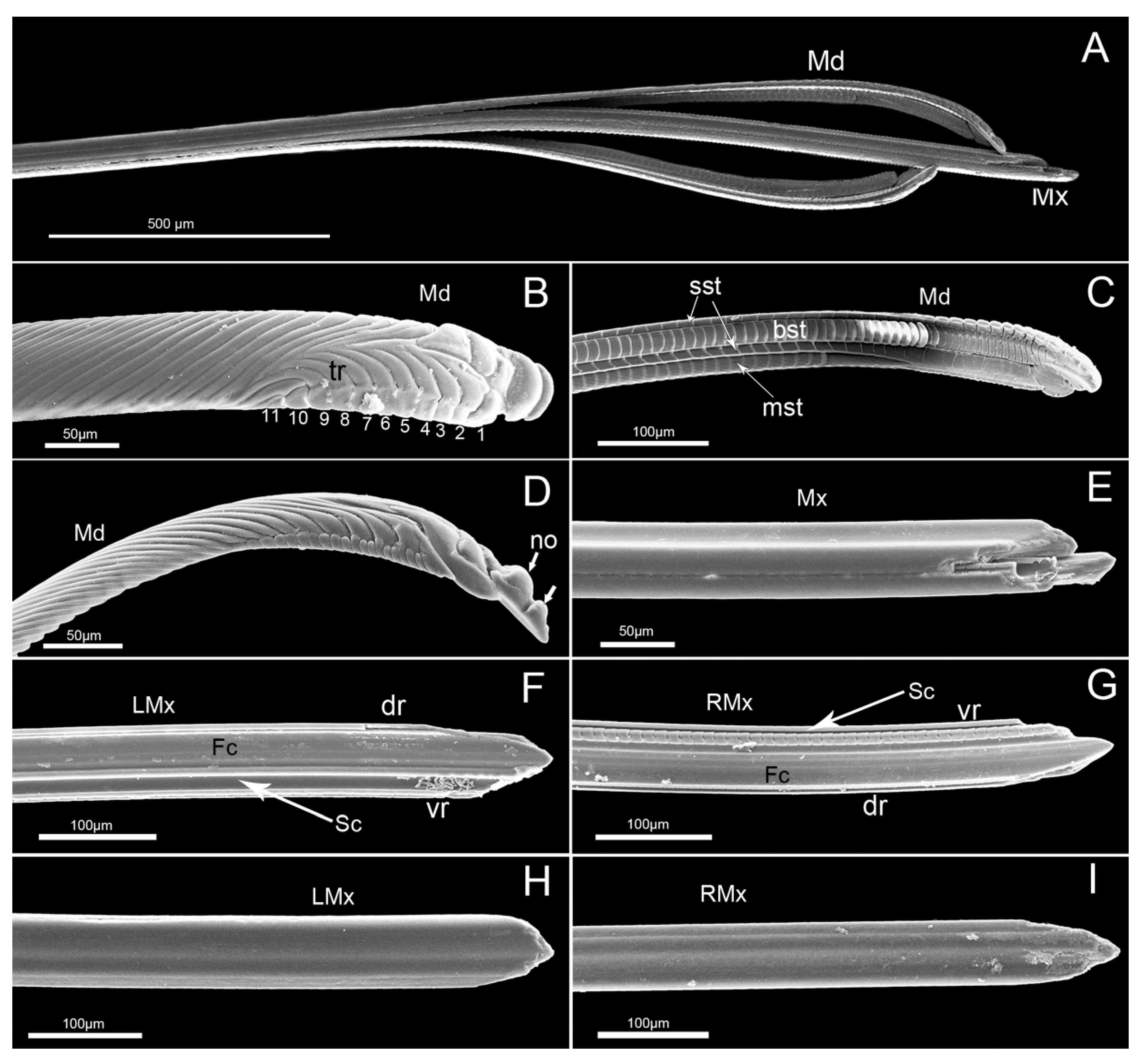 Insects 11 00503 g009 Insects 11 00503 g009