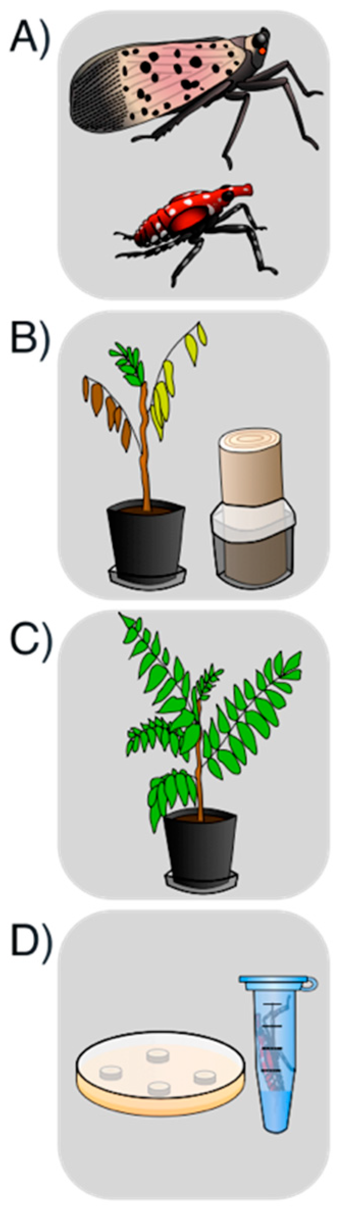 Insects 11 00515 g001 Insects 11 00515 g001