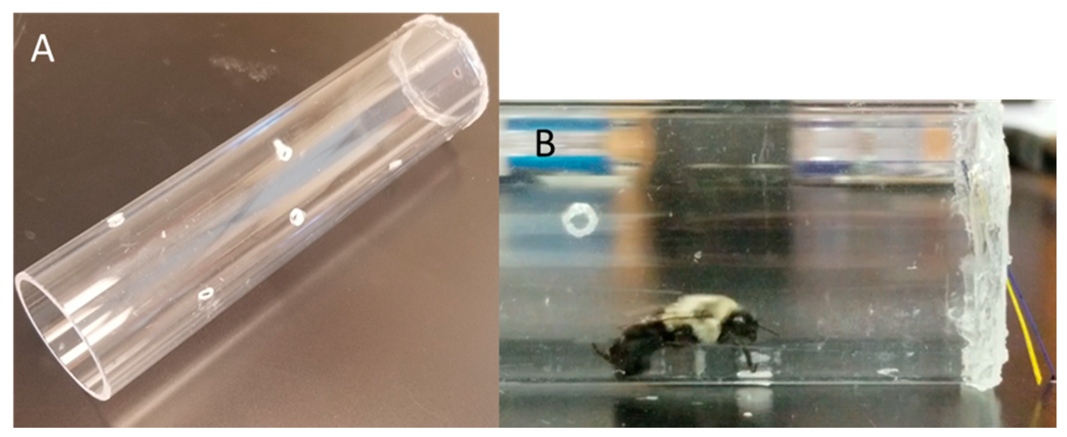 Insects 11 00517 g001 Insects 11 00517 g001