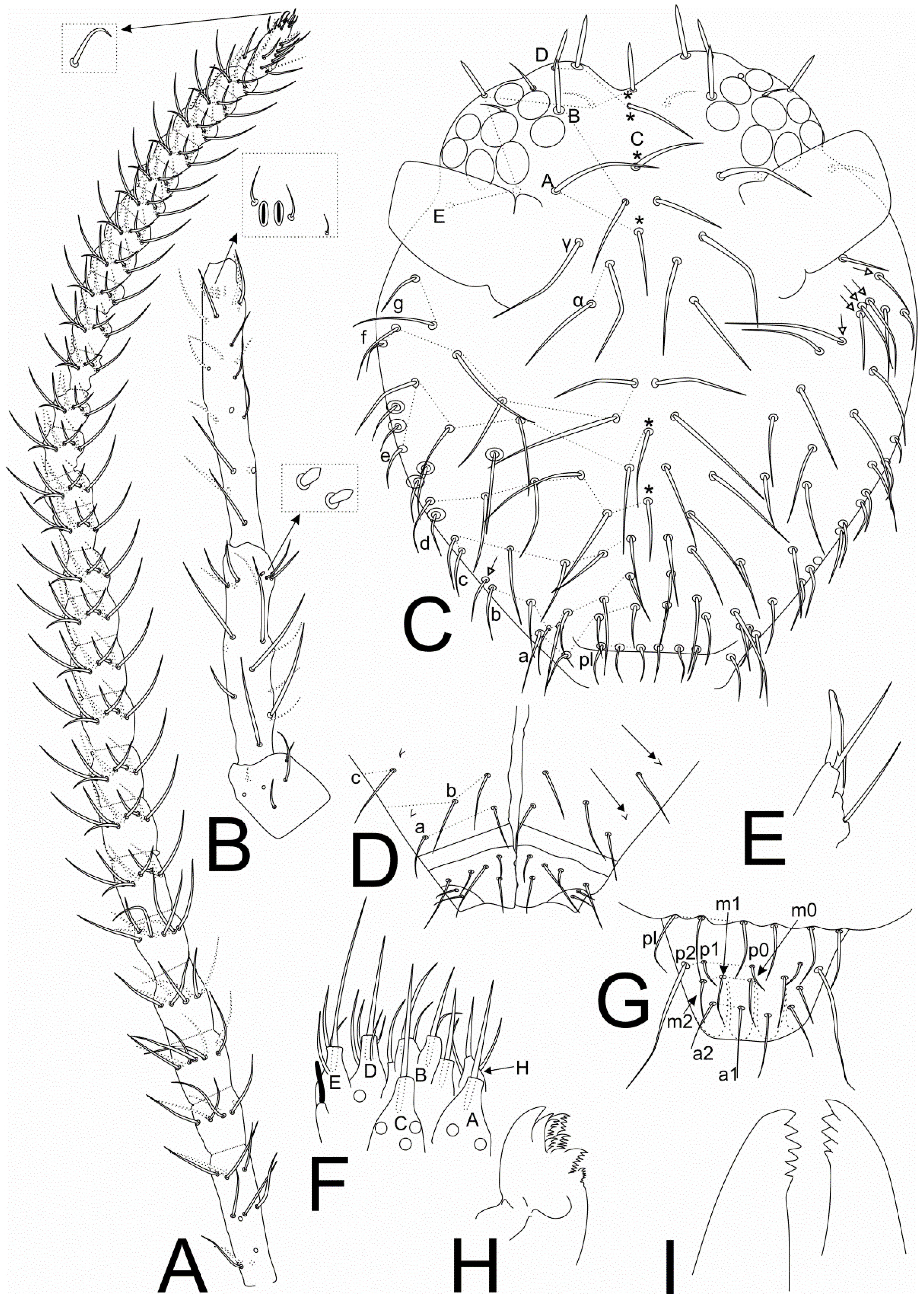 Insects 11 00519 g001 Insects 11 00519 g001