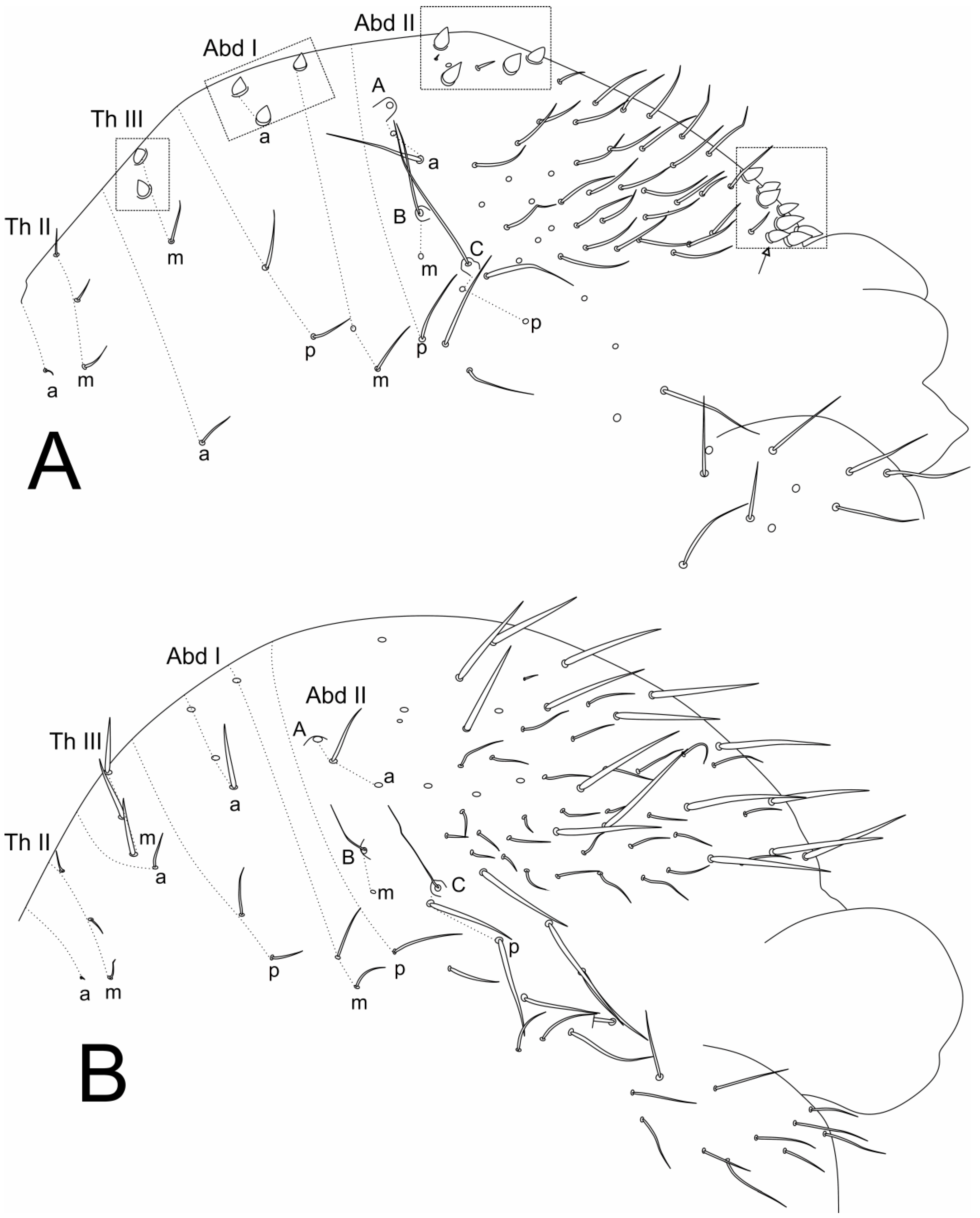 Insects 11 00519 g003 Insects 11 00519 g003